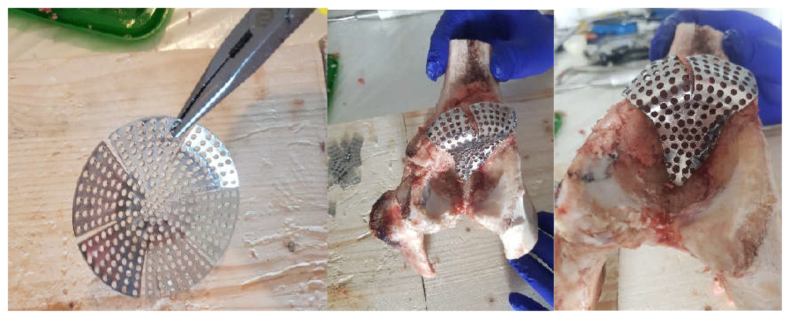 Diagnostics 12 01952 g011