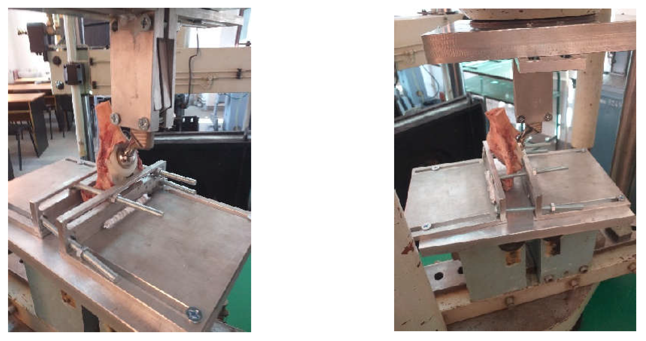 Diagnostics 12 01952 g018