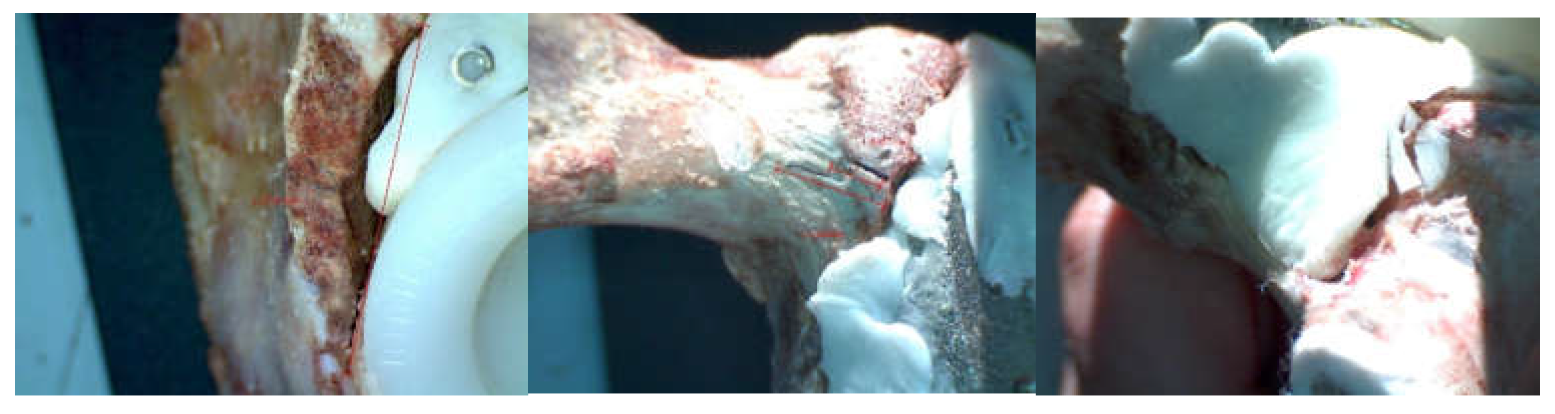 Diagnostics 12 01952 g019