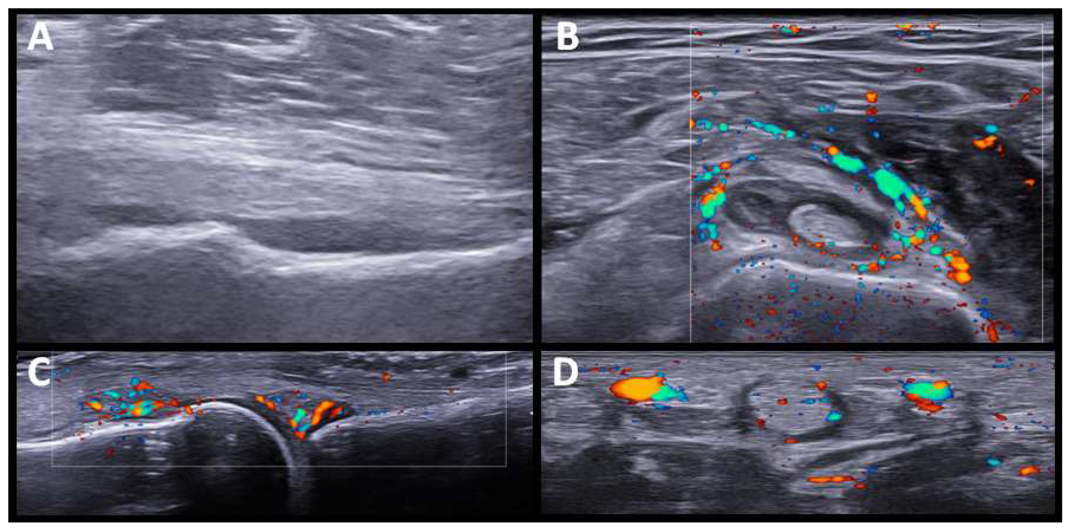 Diagnostics 12 01961 g002