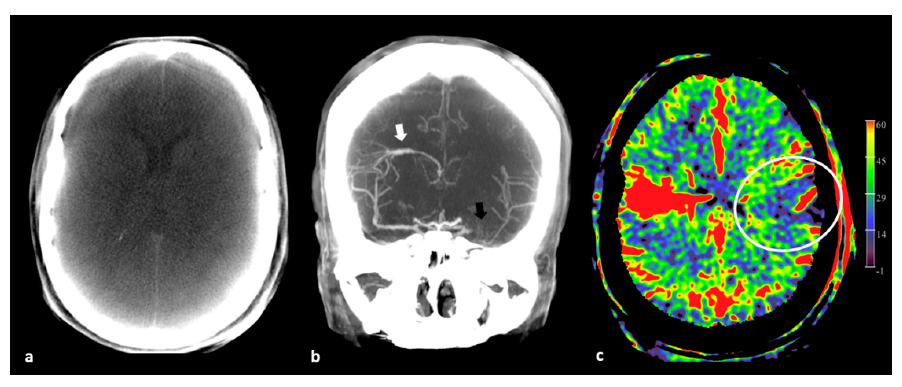Diagnostics 12 01962 g001