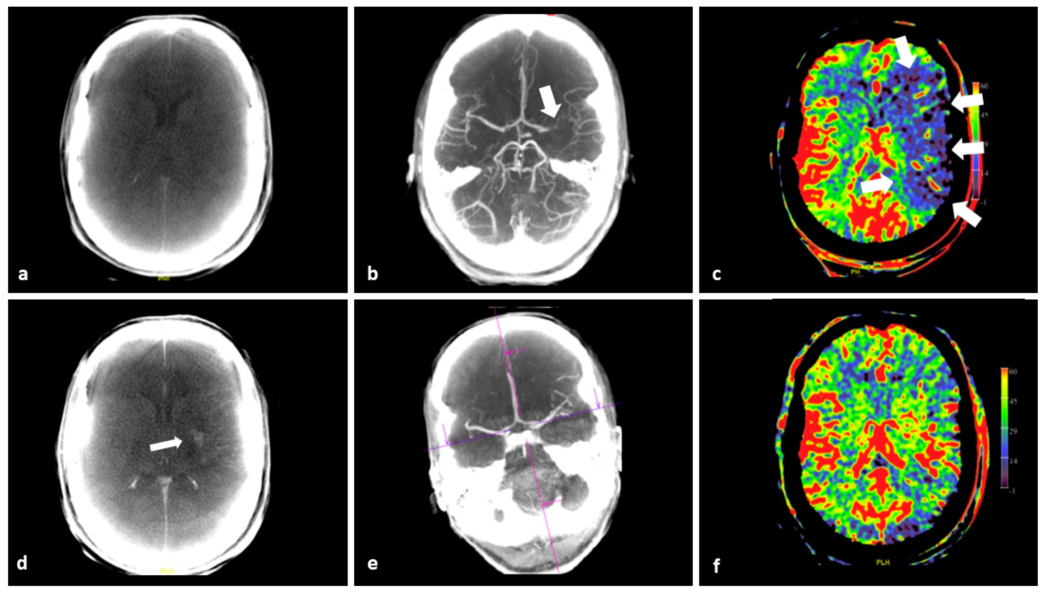 Diagnostics 12 01962 g002