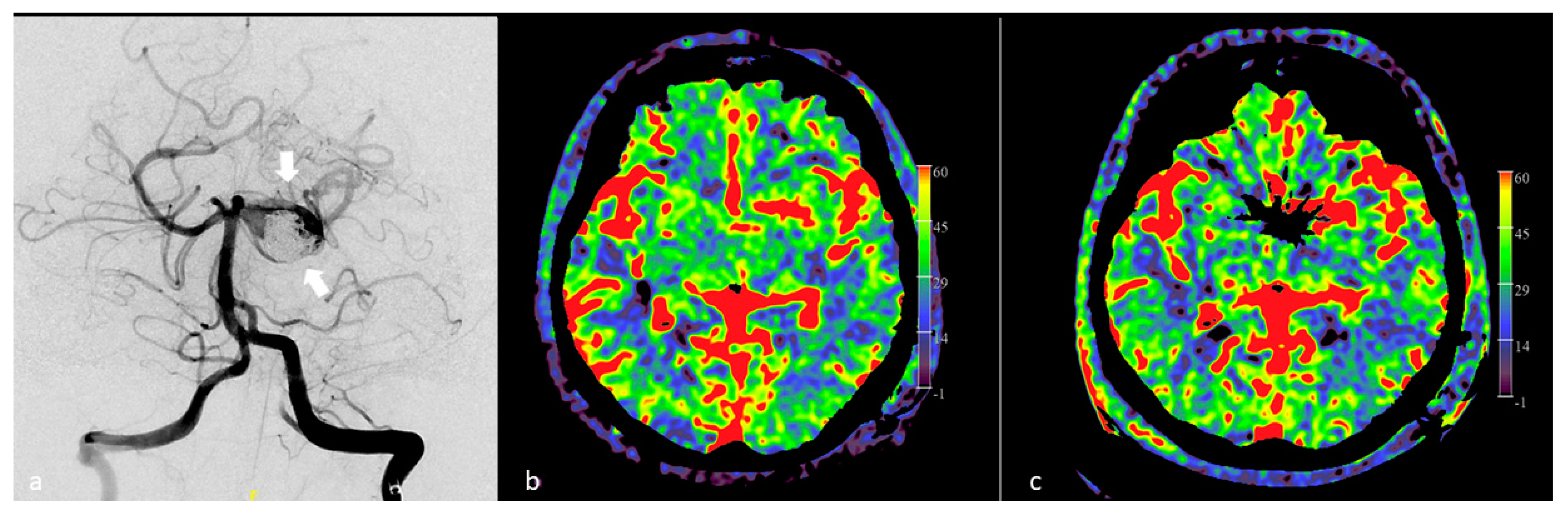 Diagnostics 12 01962 g007