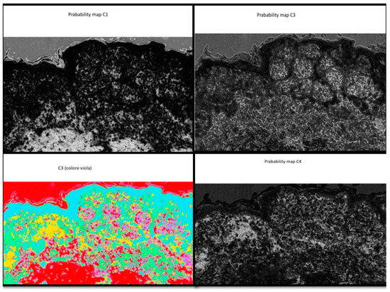 Diagnostics 12 01972 g0a2 550