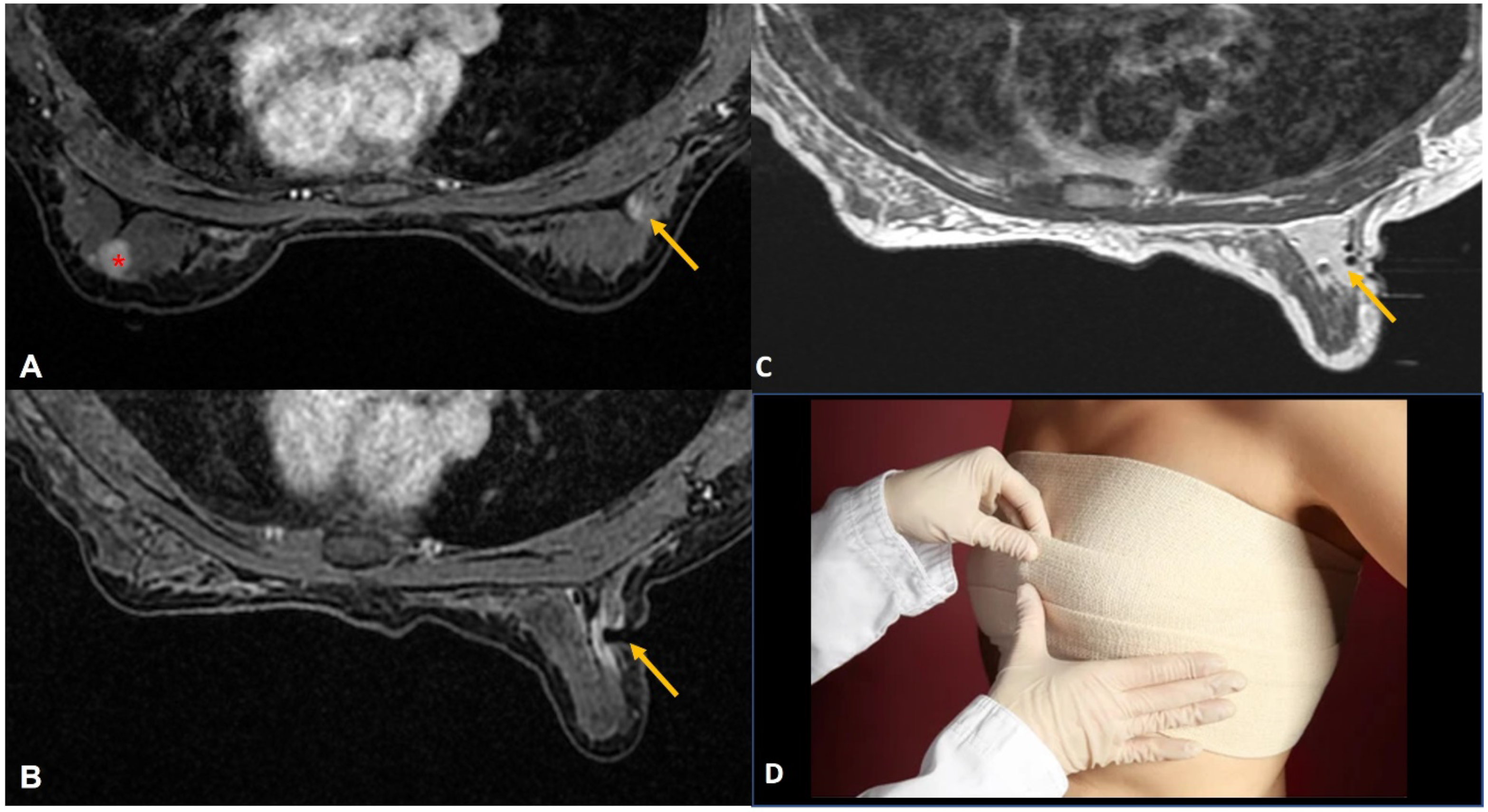 Diagnostics 12 01985 g002