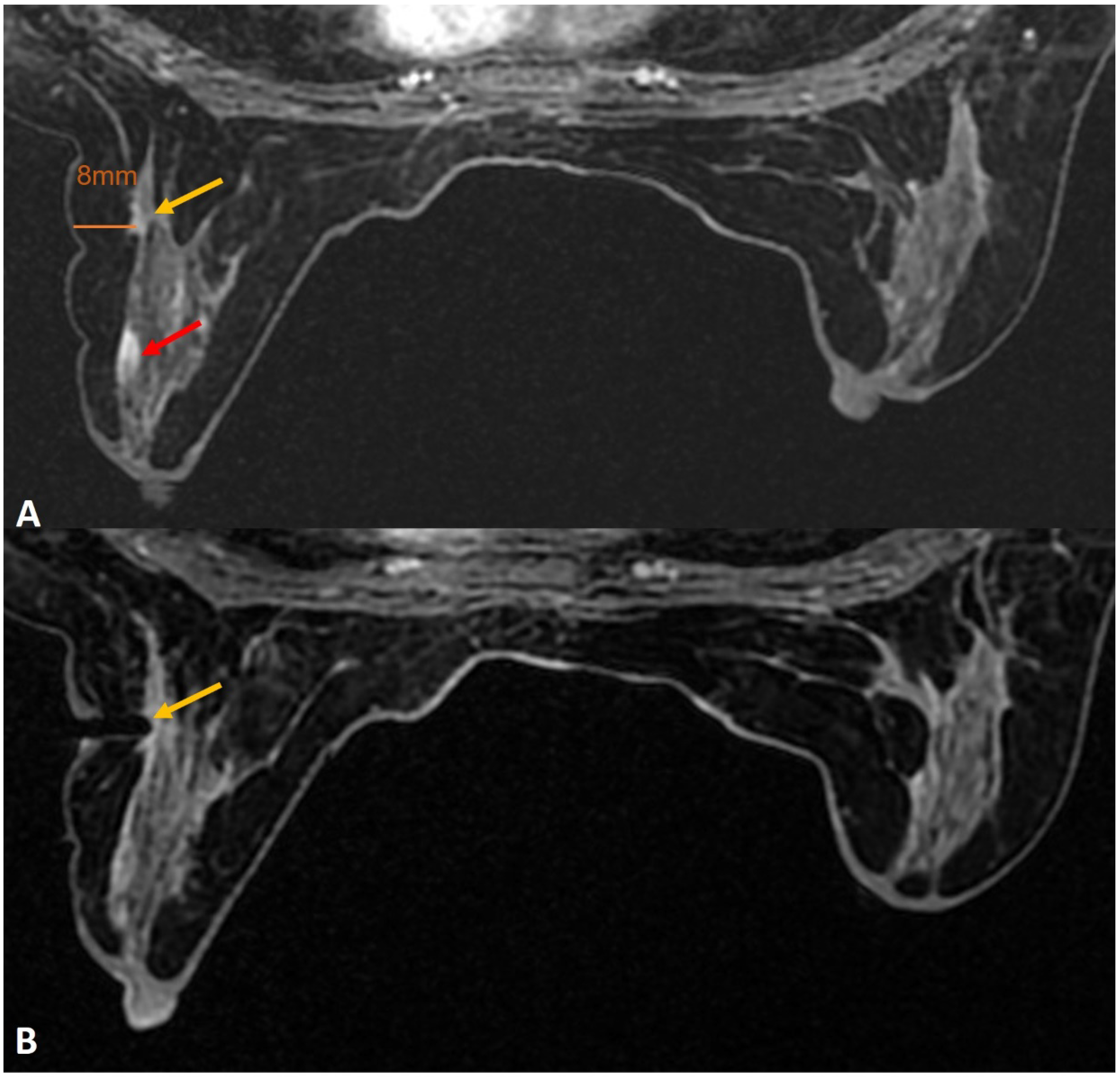 Diagnostics 12 01985 g006