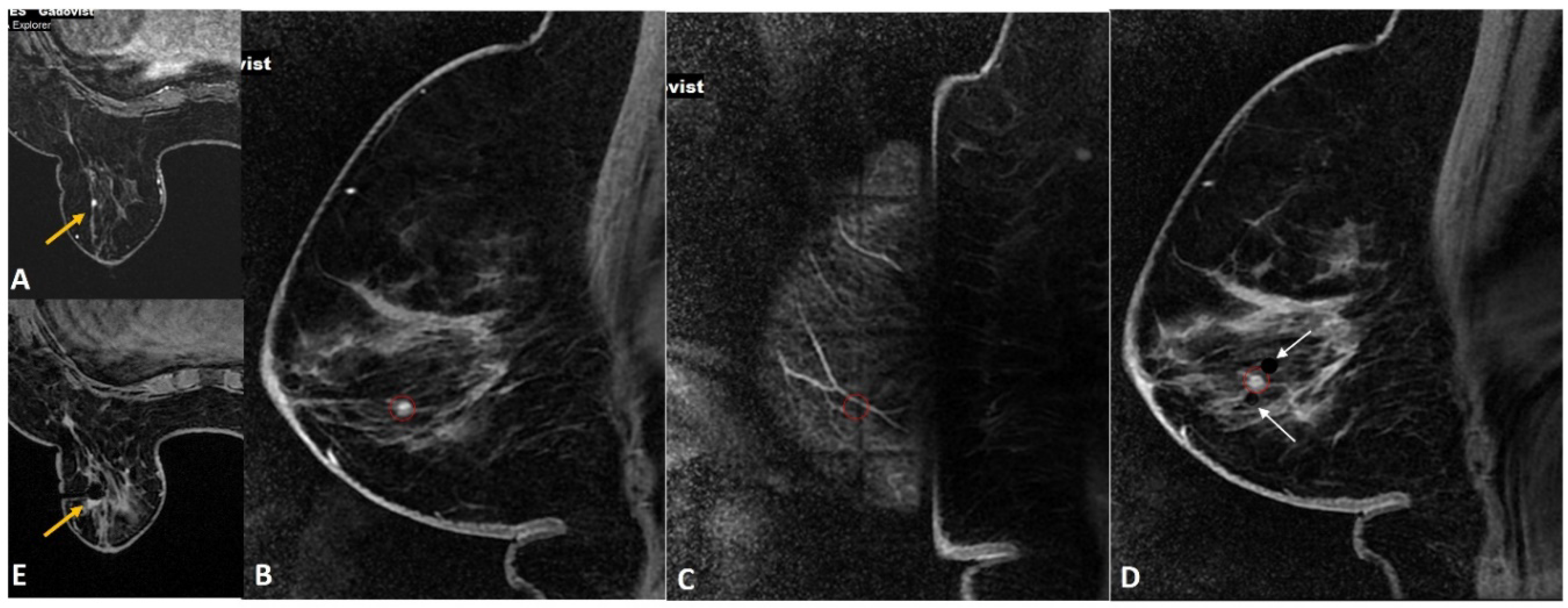 Diagnostics 12 01985 g007
