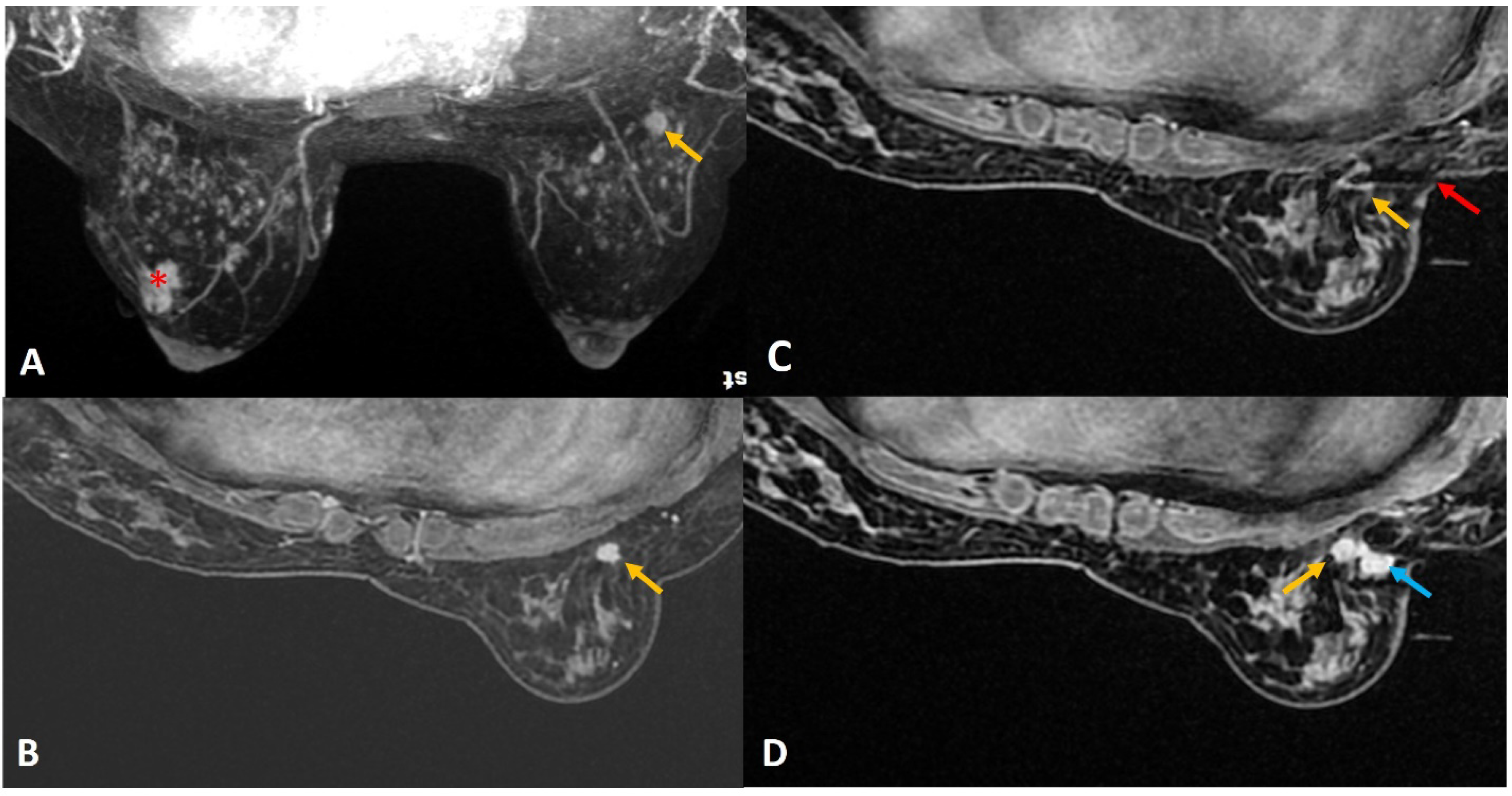 Diagnostics 12 01985 g012