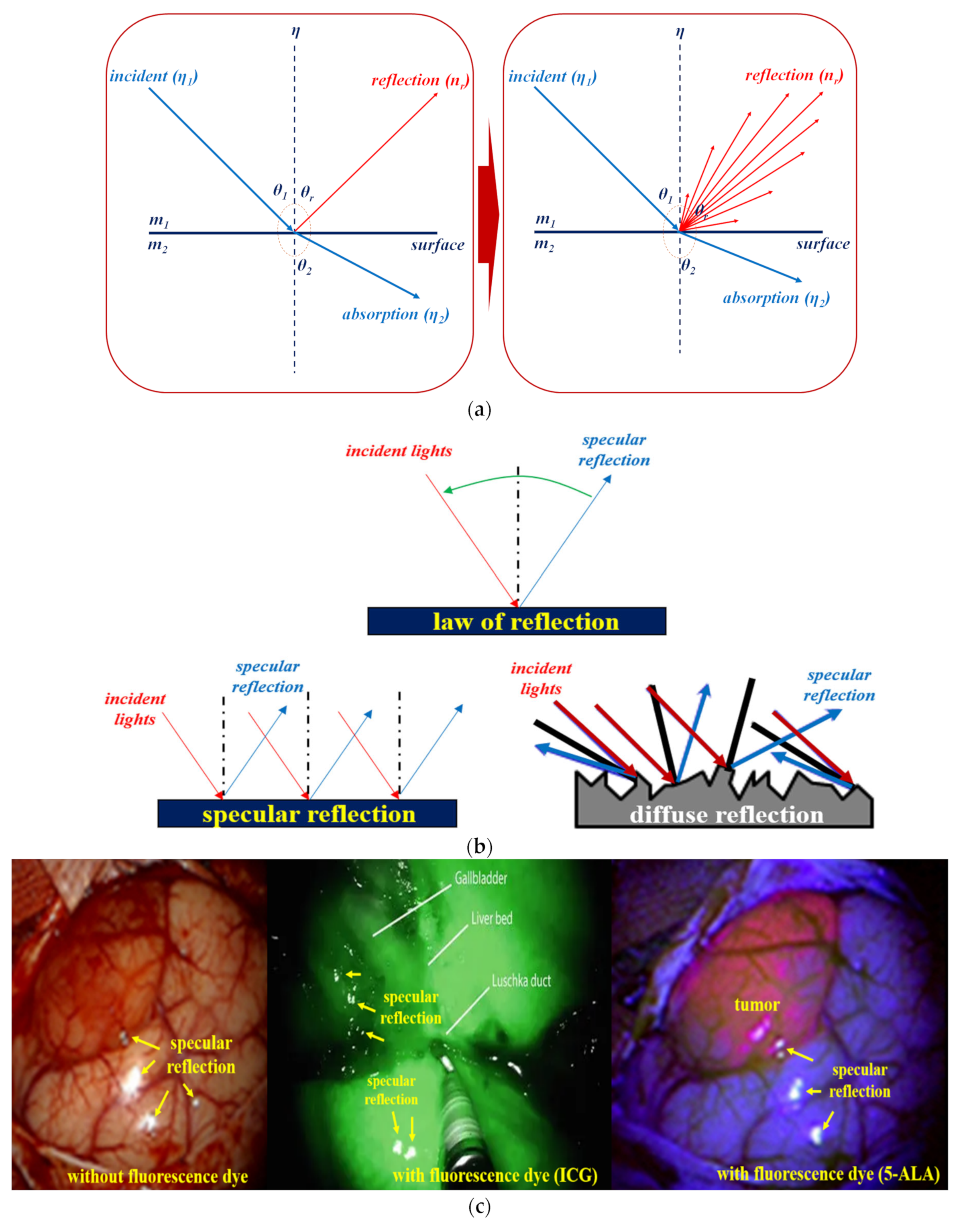 Diagnostics 12 01990 g003