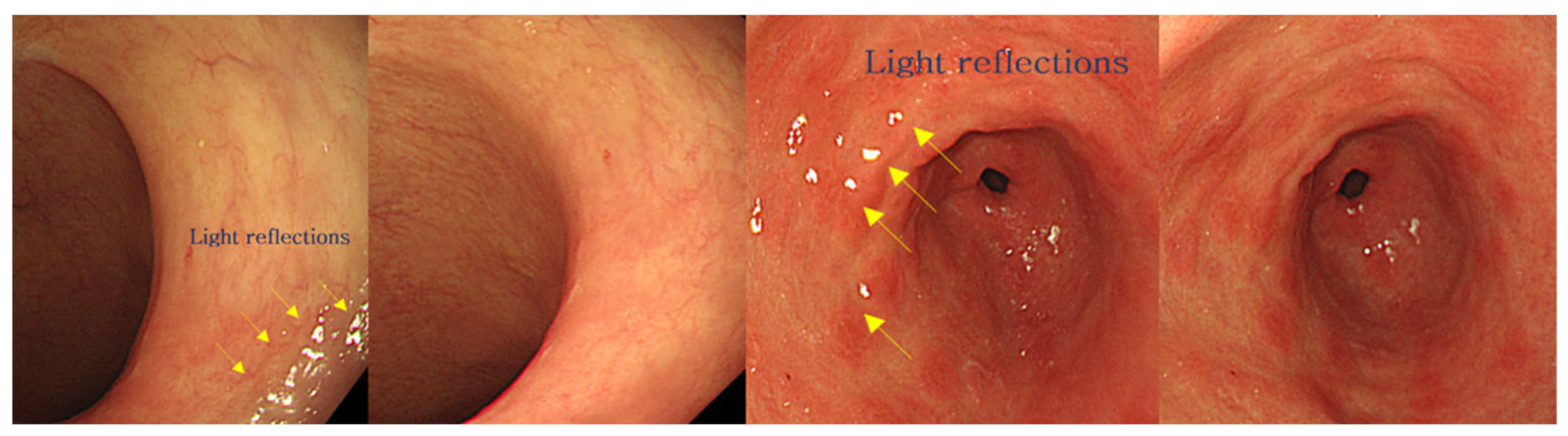 Diagnostics 12 01990 g007