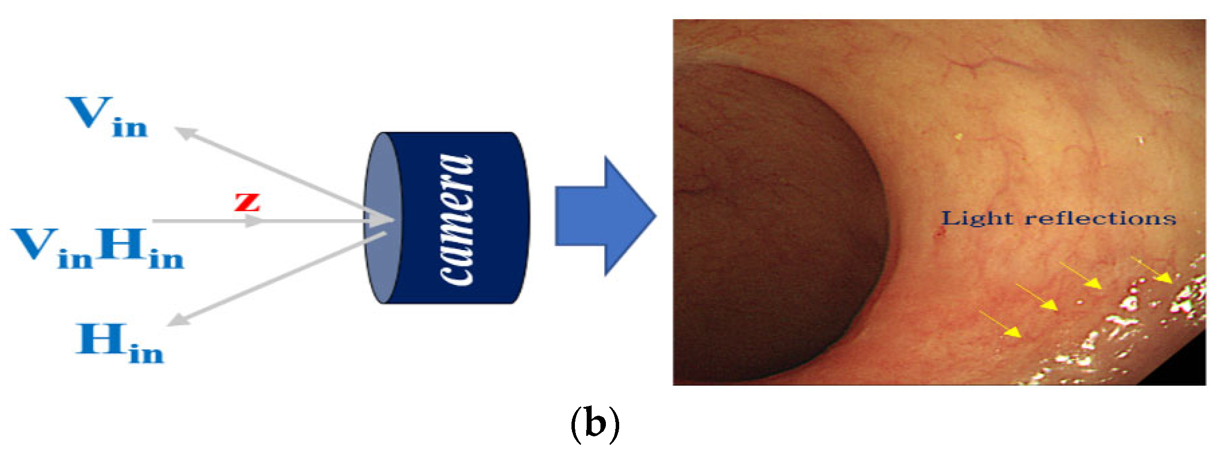 Diagnostics 12 01990 g008b