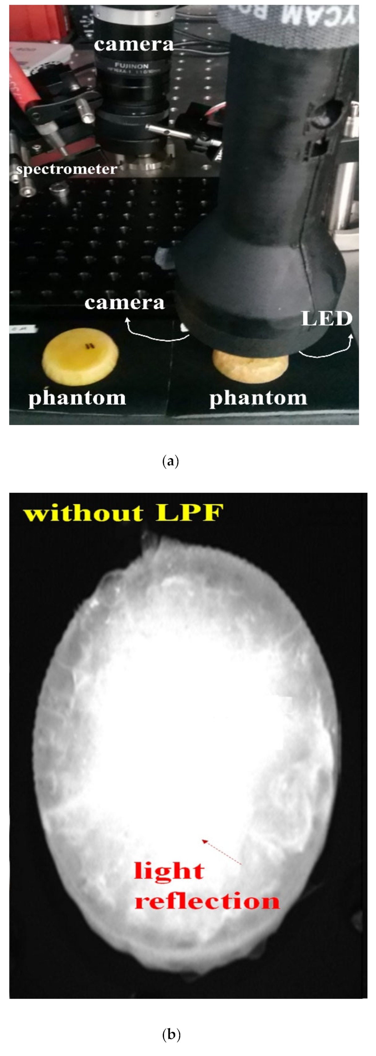 Diagnostics 12 01990 g018a