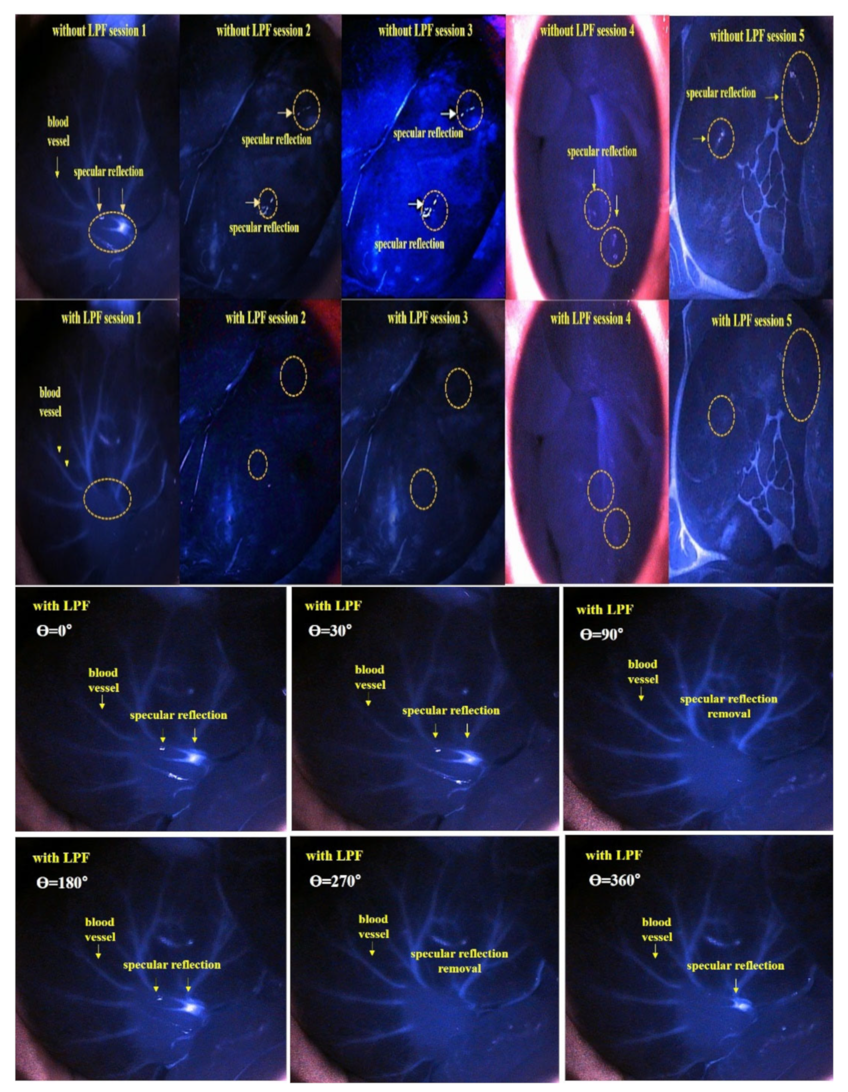 Diagnostics 12 01990 g021