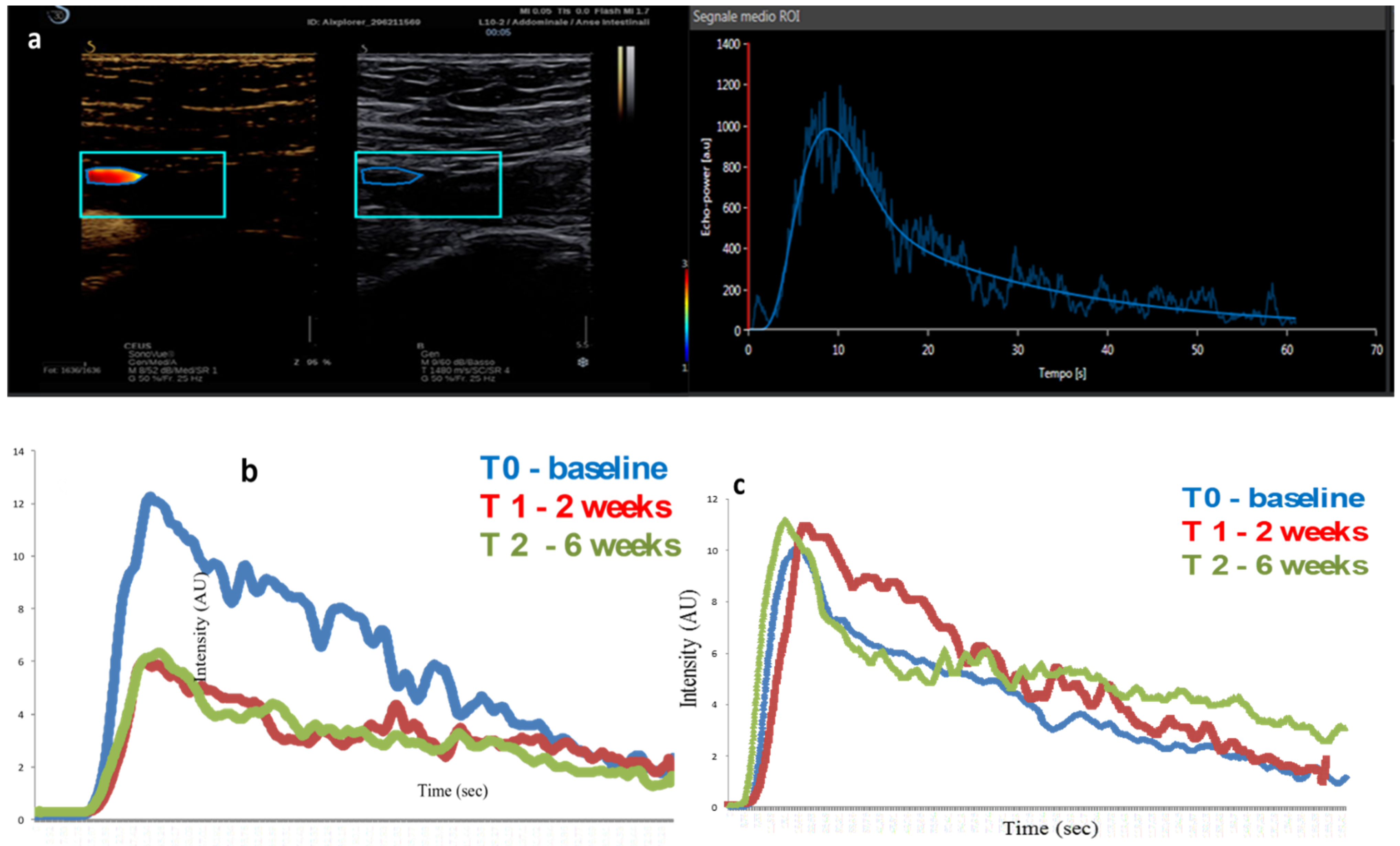 Diagnostics 12 01991 g002