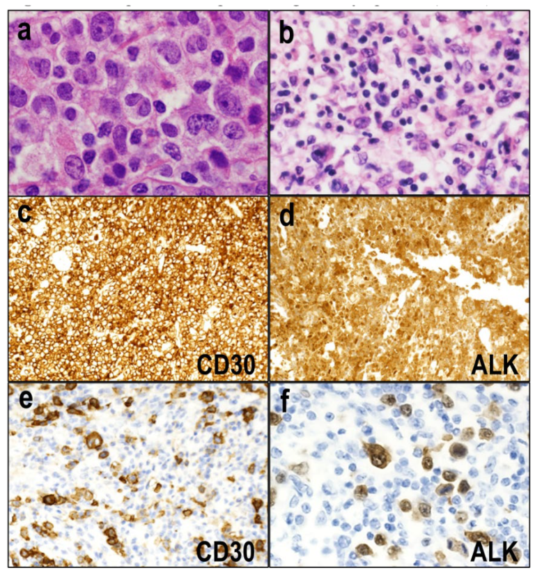 Diagnostics 12 02001 g001