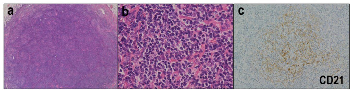 Diagnostics 12 02001 g004