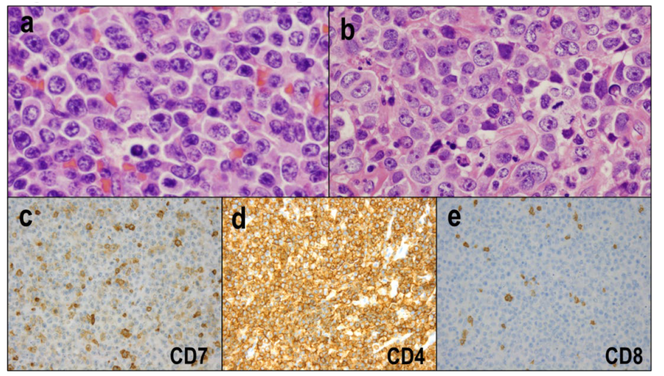 Diagnostics 12 02001 g006