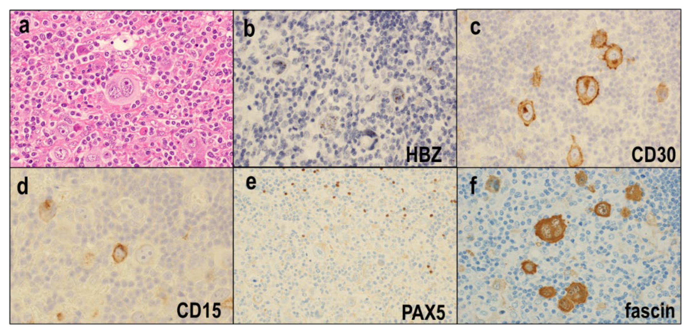 Diagnostics 12 02001 g008