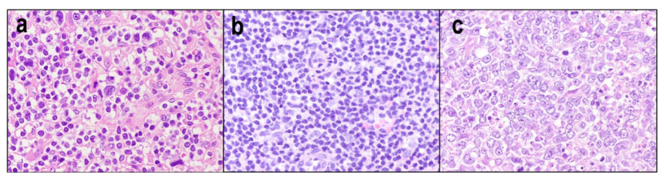 Diagnostics 12 02001 g009