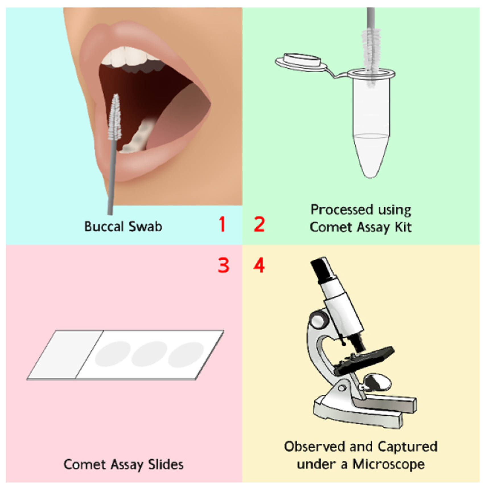 Diagnostics 12 02002 g001
