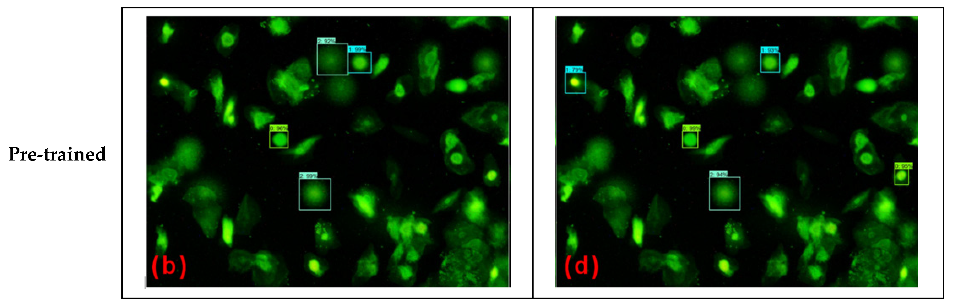 Diagnostics 12 02002 g005b
