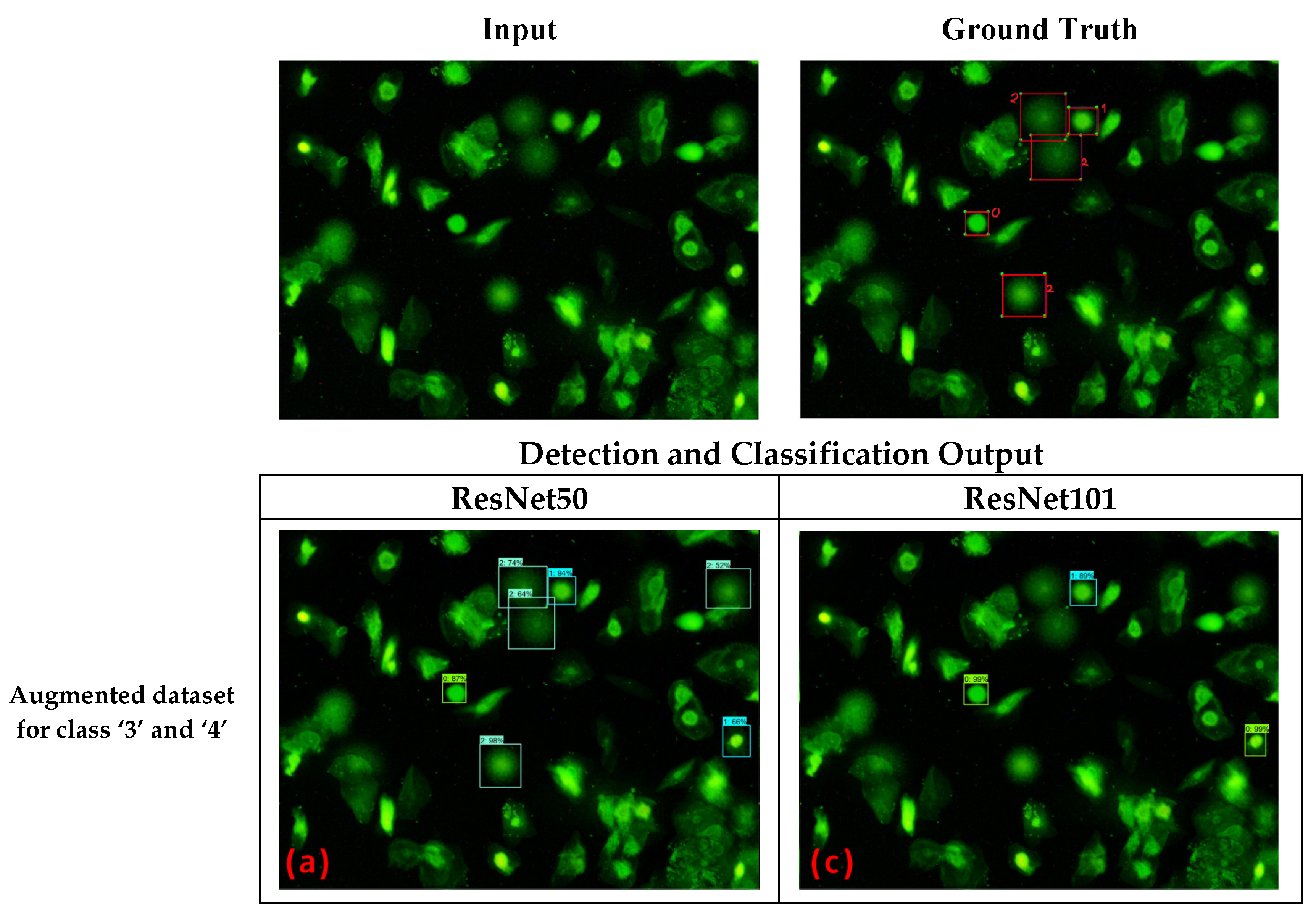 Diagnostics 12 02002 g008a