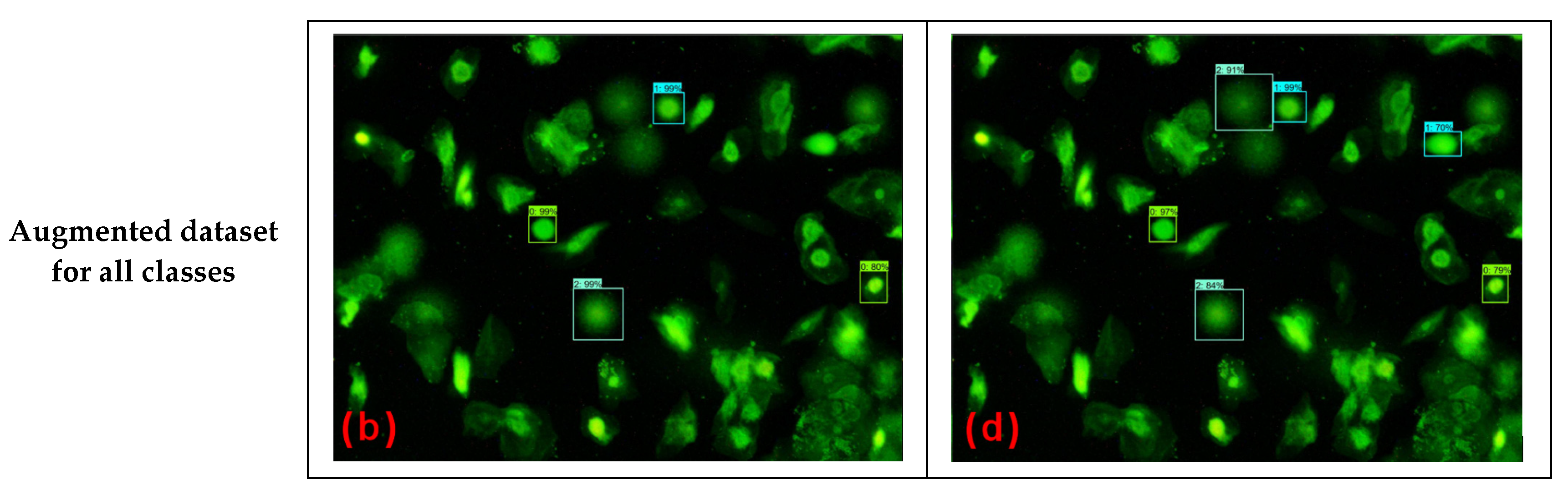 Diagnostics 12 02002 g008b