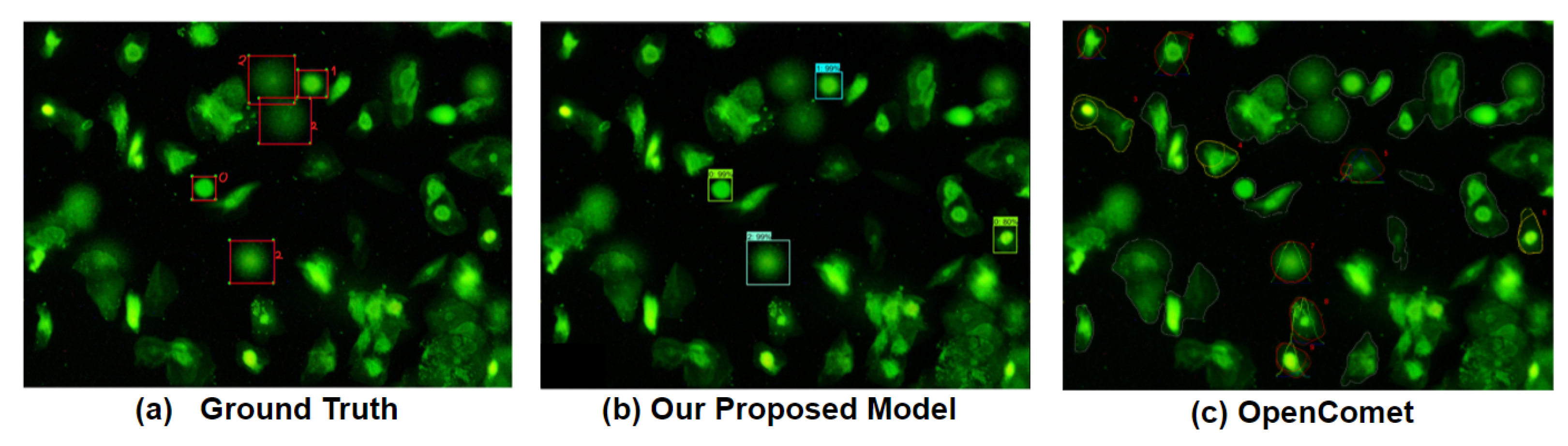 Diagnostics 12 02002 g010