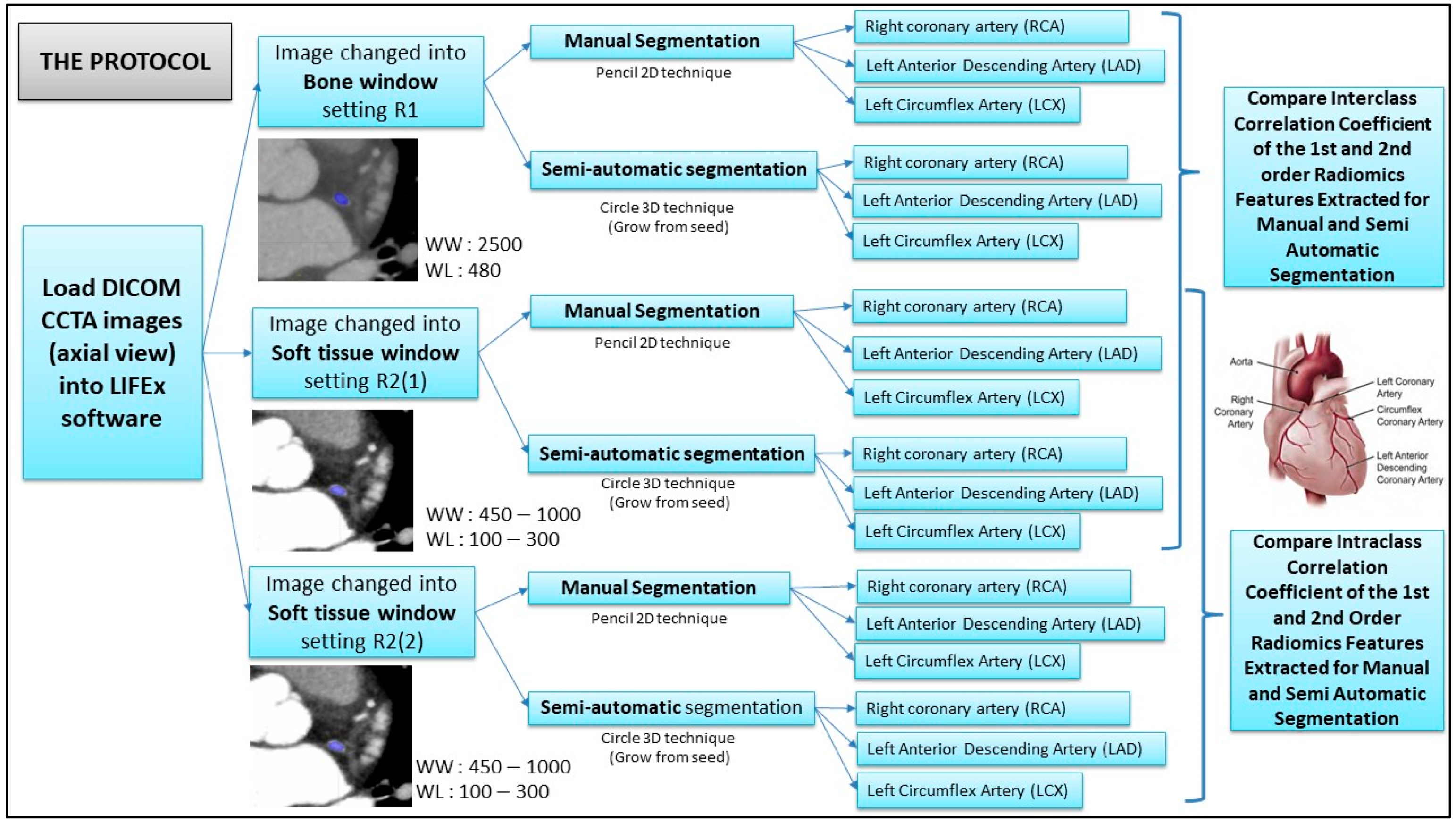Diagnostics 12 02007 g003