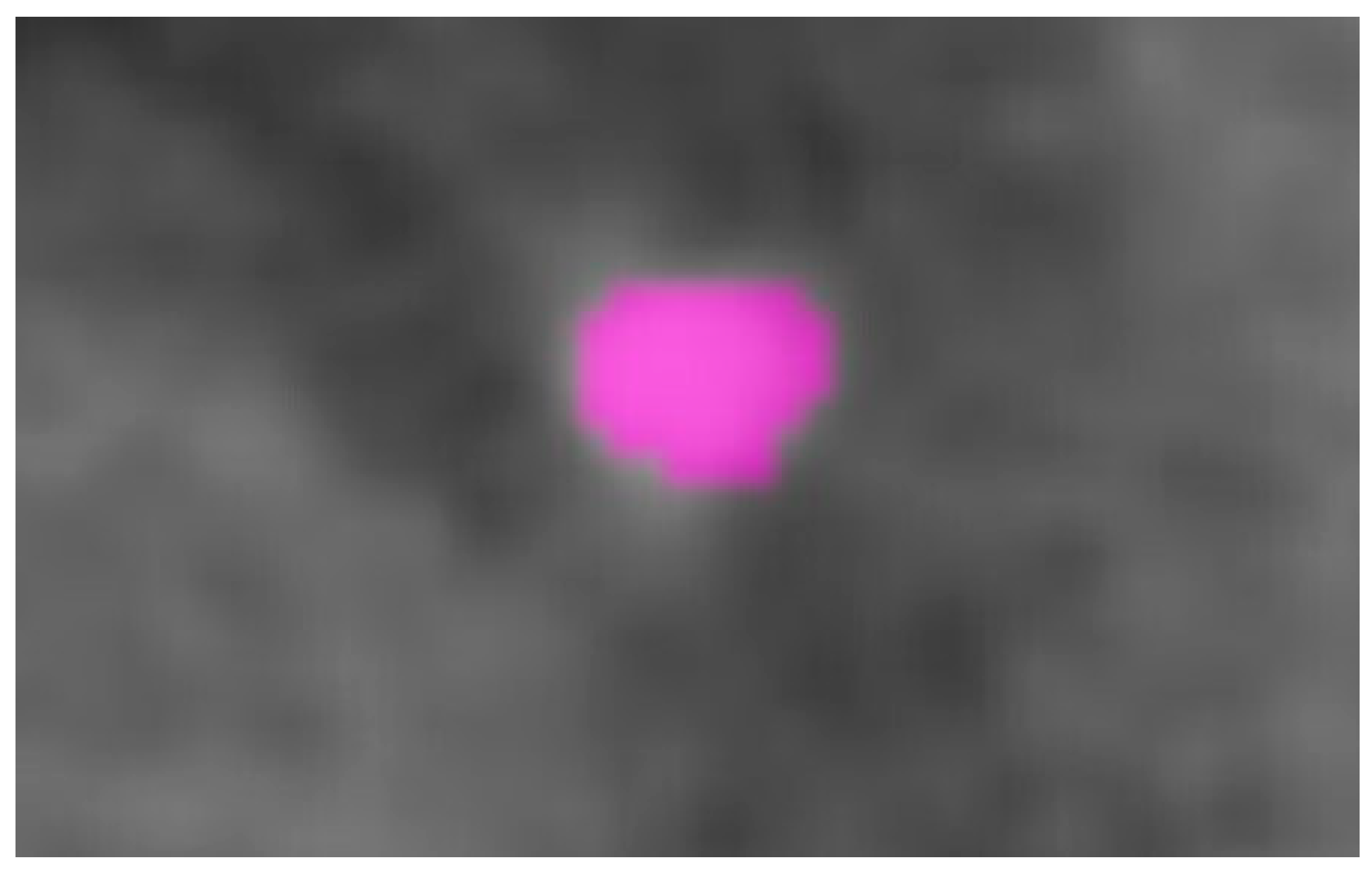 Diagnostics 12 02007 g005