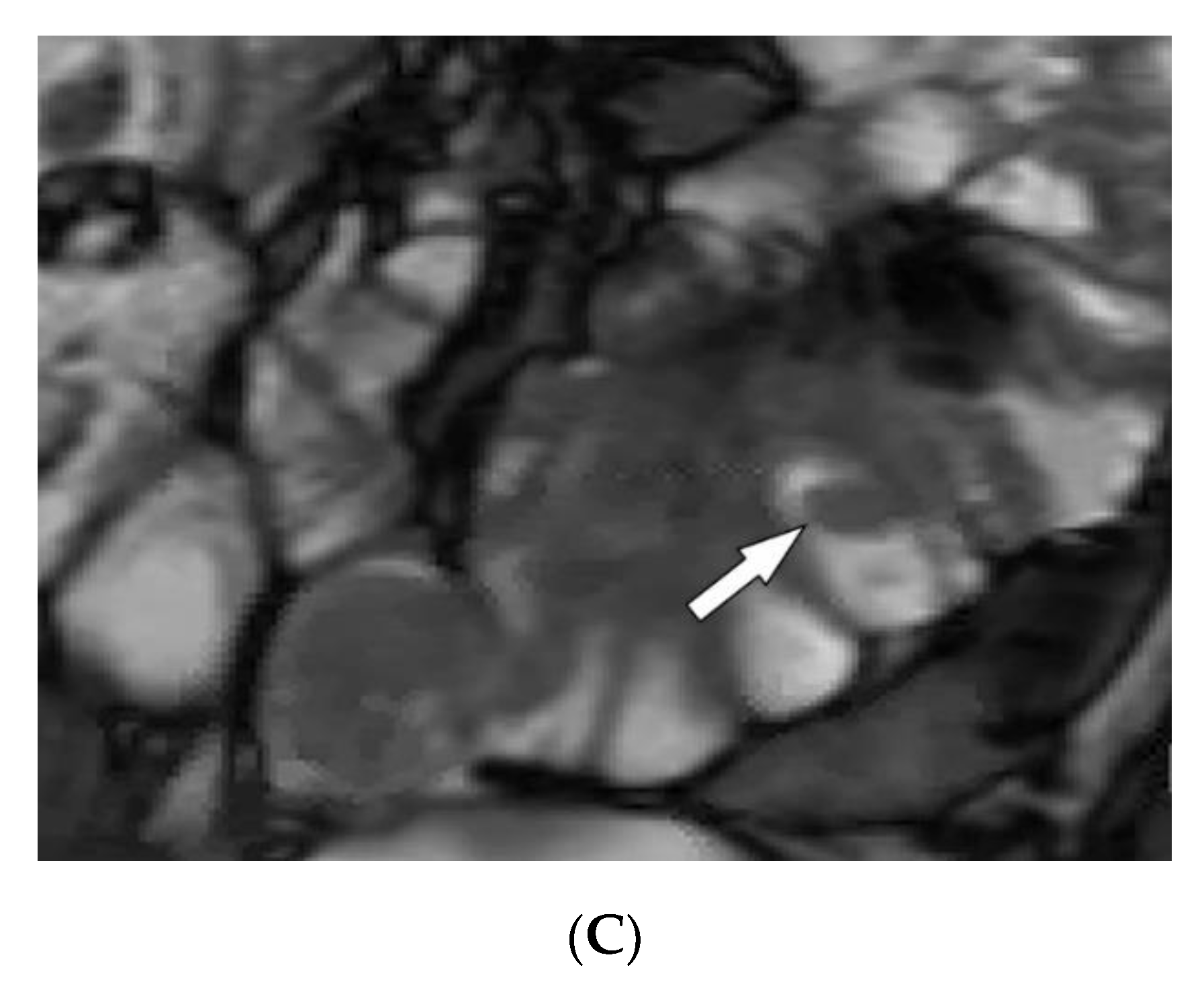Diagnostics 12 02011 g019b