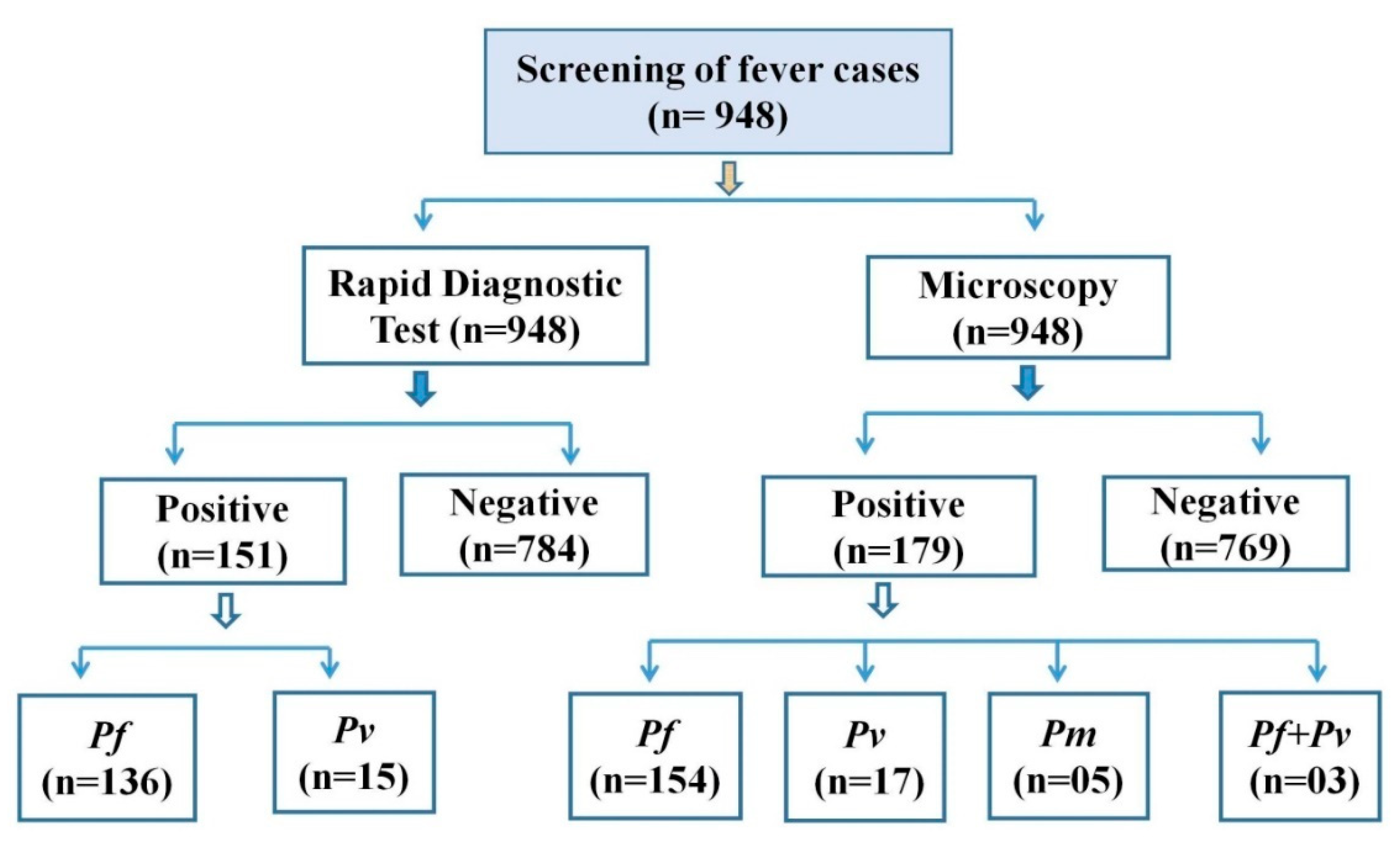 Diagnostics 12 02015 g002