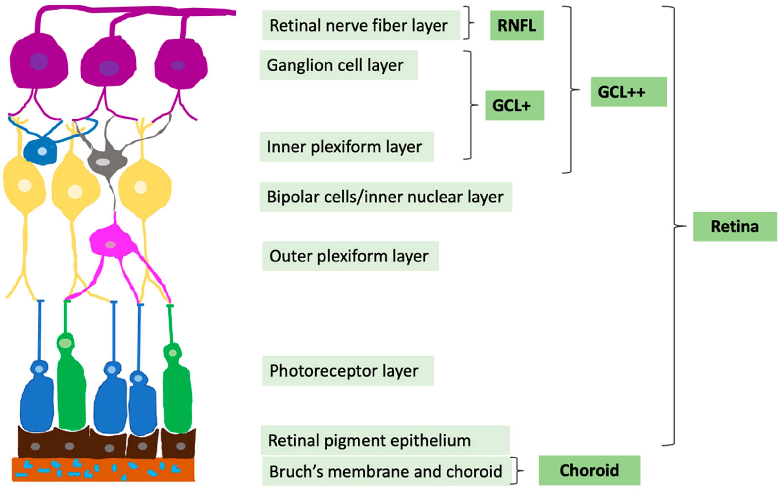 Diagnostics 12 02016 g002
