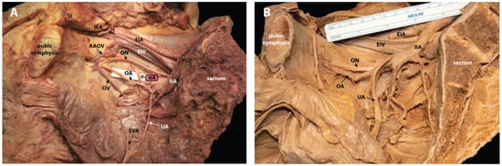 Diagnostics 12 02019 g001