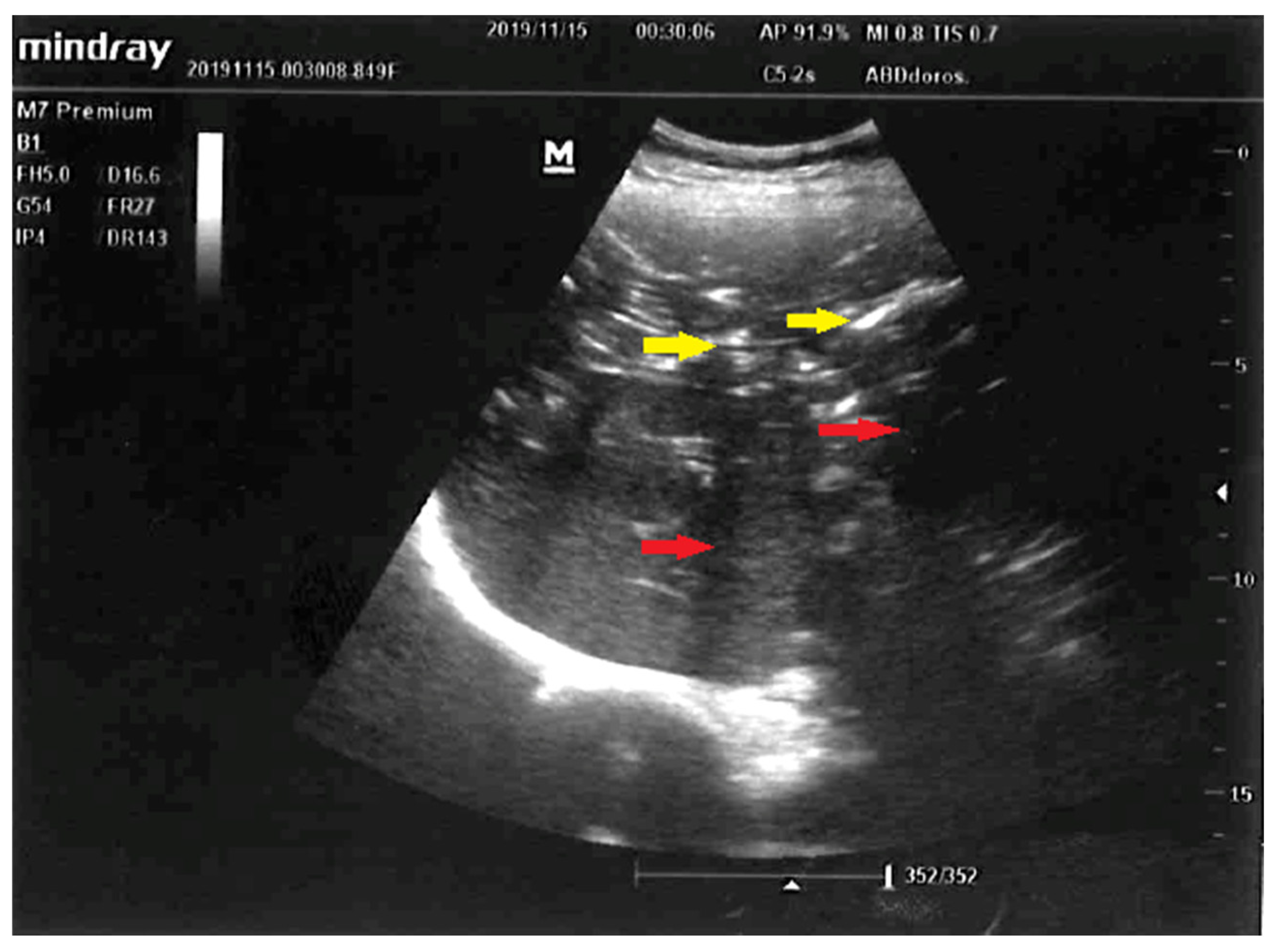 Diagnostics 12 02034 g001