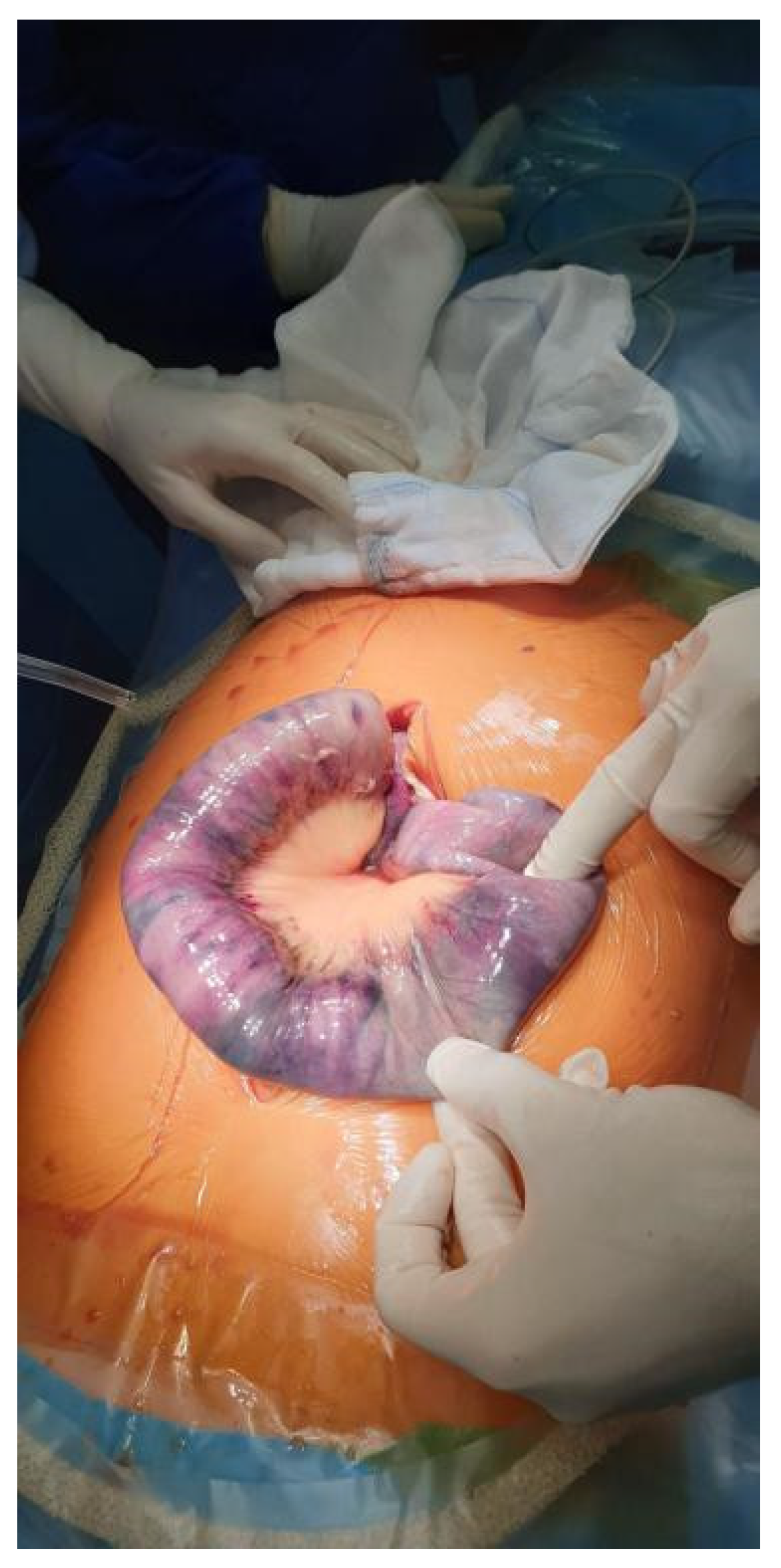 Diagnostics 12 02034 g003