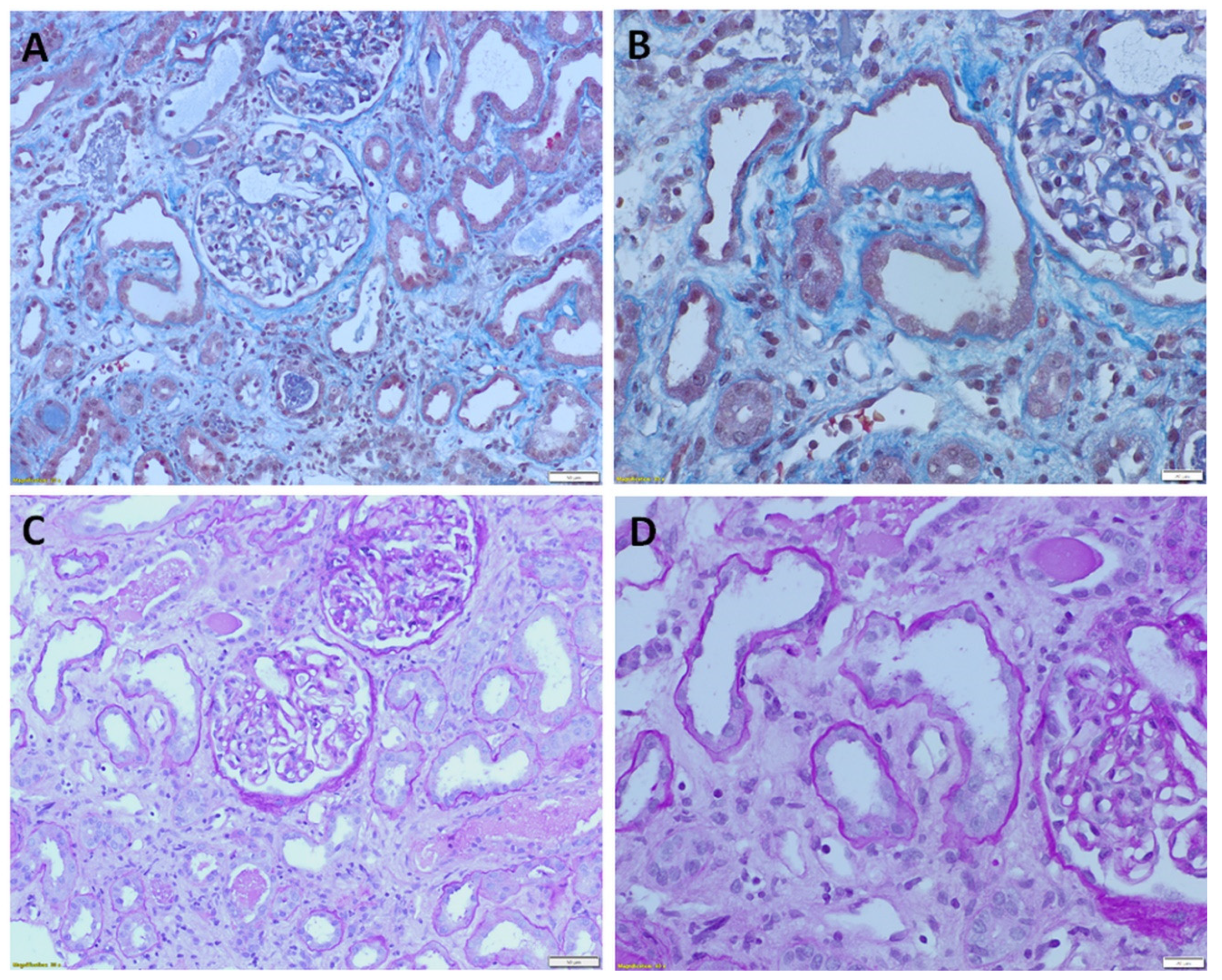 Diagnostics 12 02036 g002