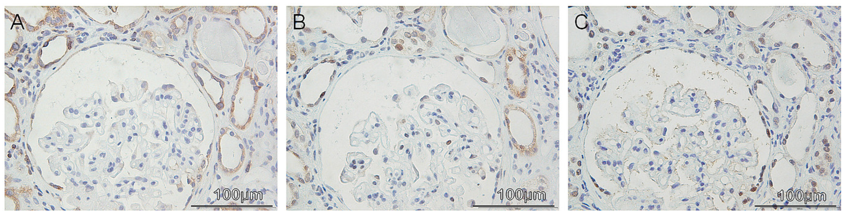 Diagnostics 12 02036 g006