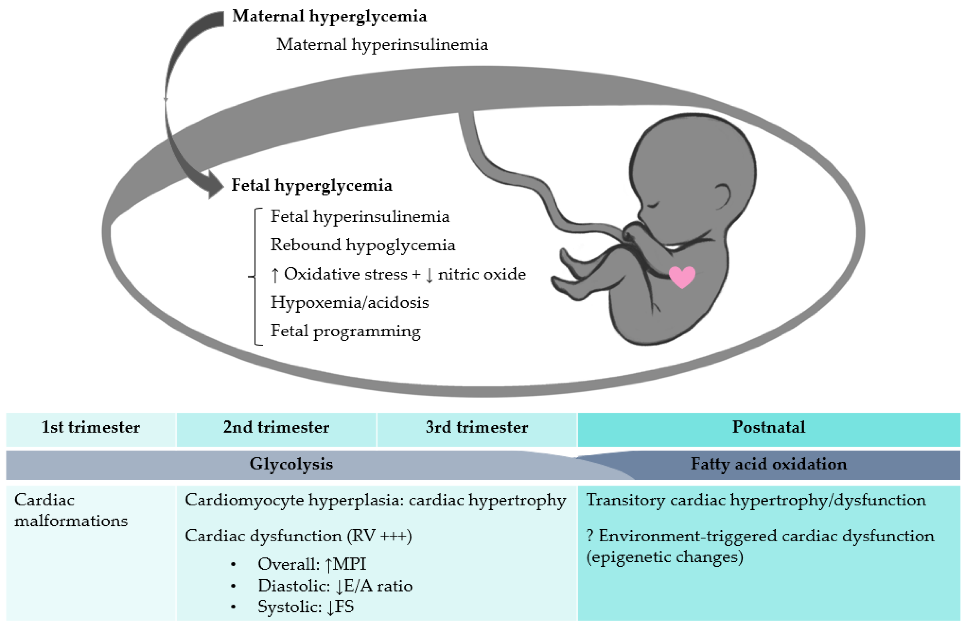 Diagnostics 12 02053 g001