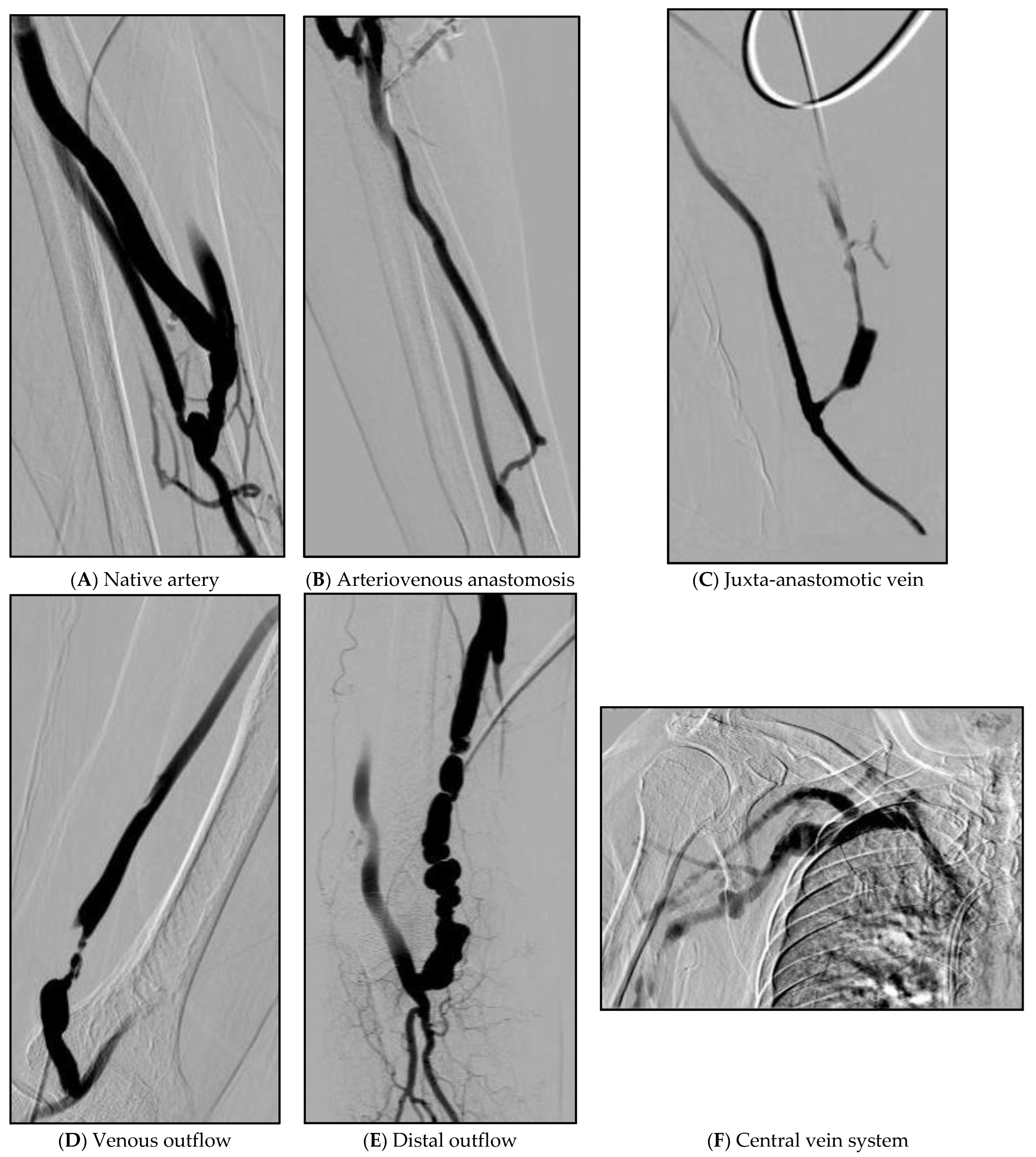 Diagnostics 12 02059 g002
