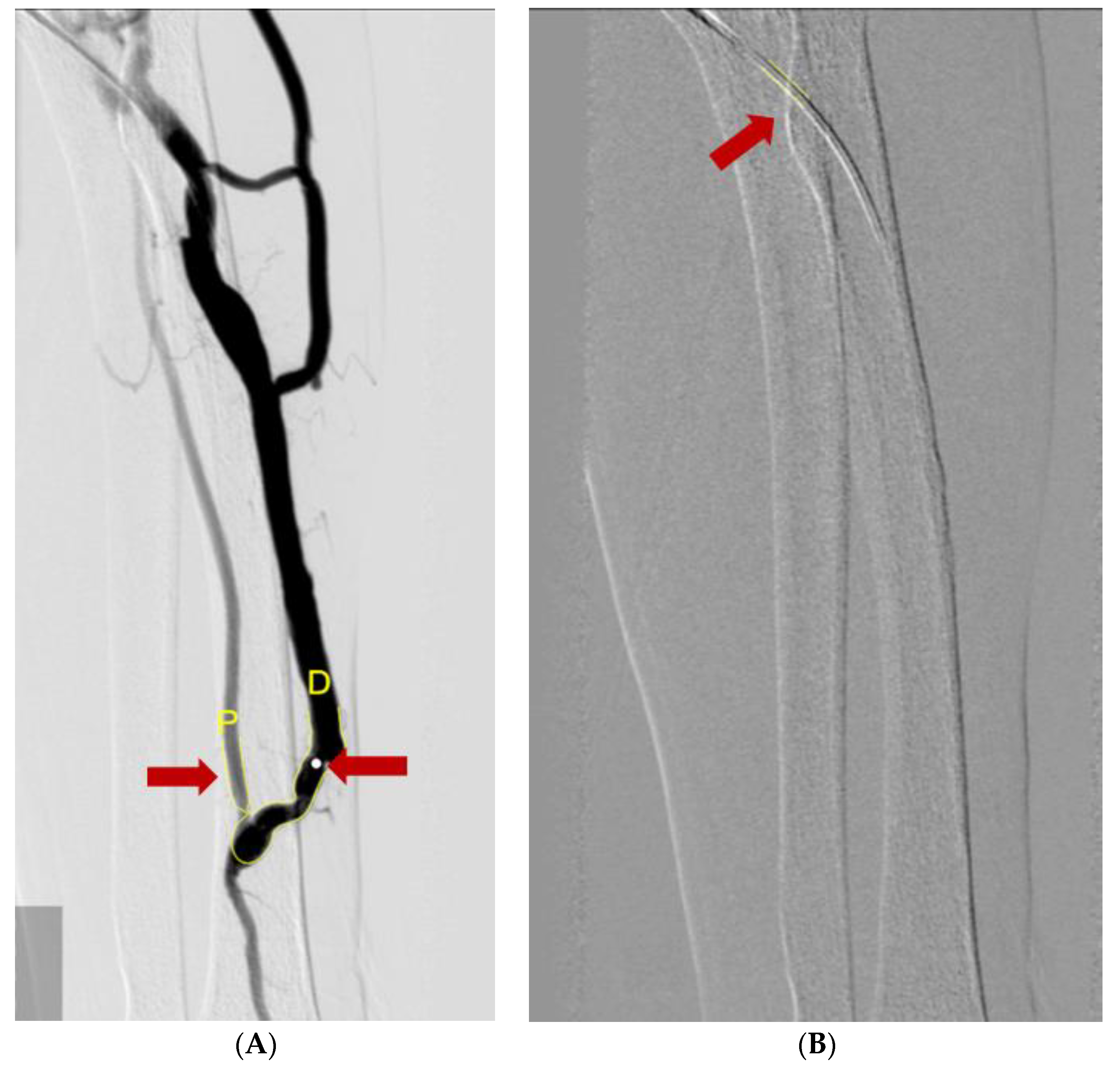 Diagnostics 12 02059 g003