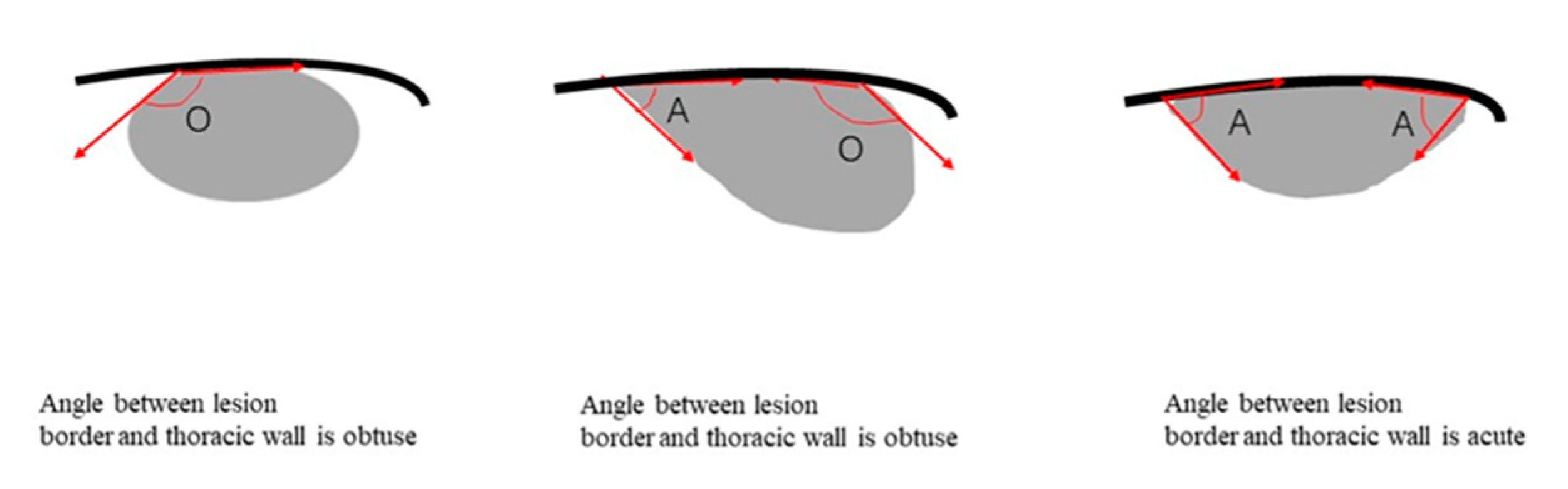 Diagnostics 12 02074 g002 Diagnostics 12 02074 g002