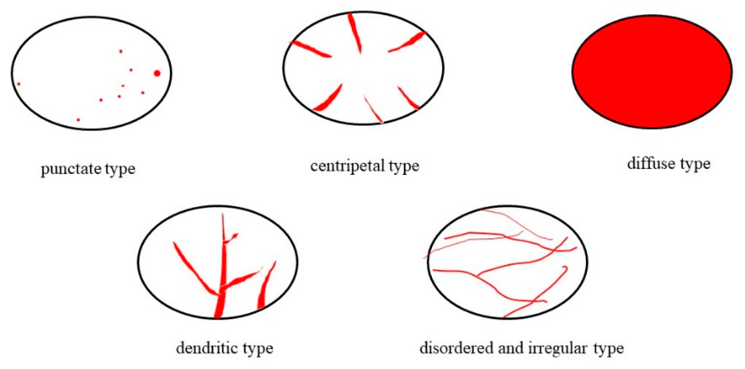 Diagnostics 12 02074 g003 Diagnostics 12 02074 g003
