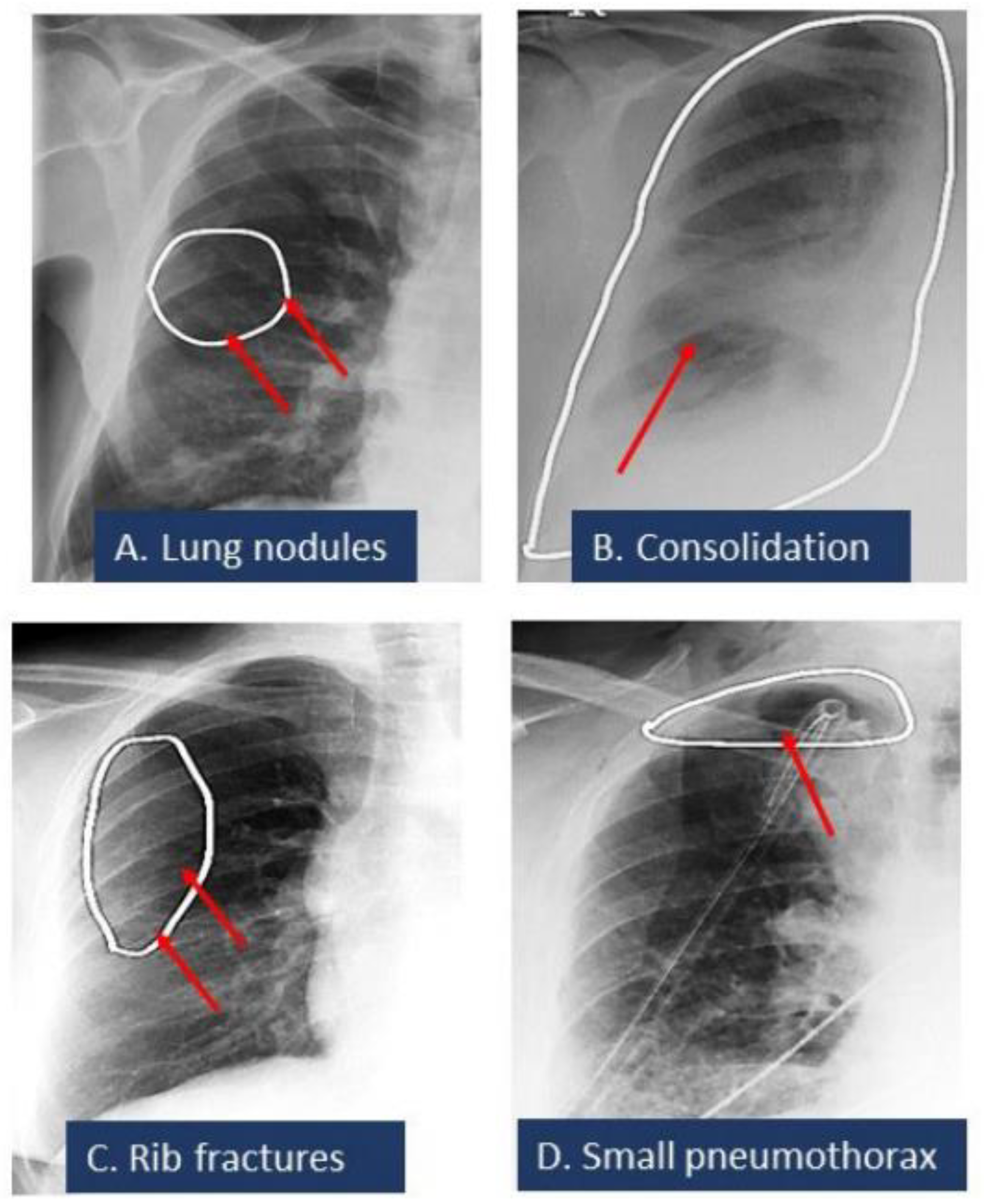 Diagnostics 12 02086 g003