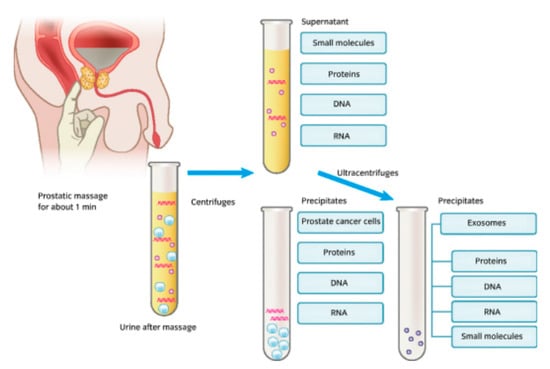 Diagnostics 12 02099 g001 550