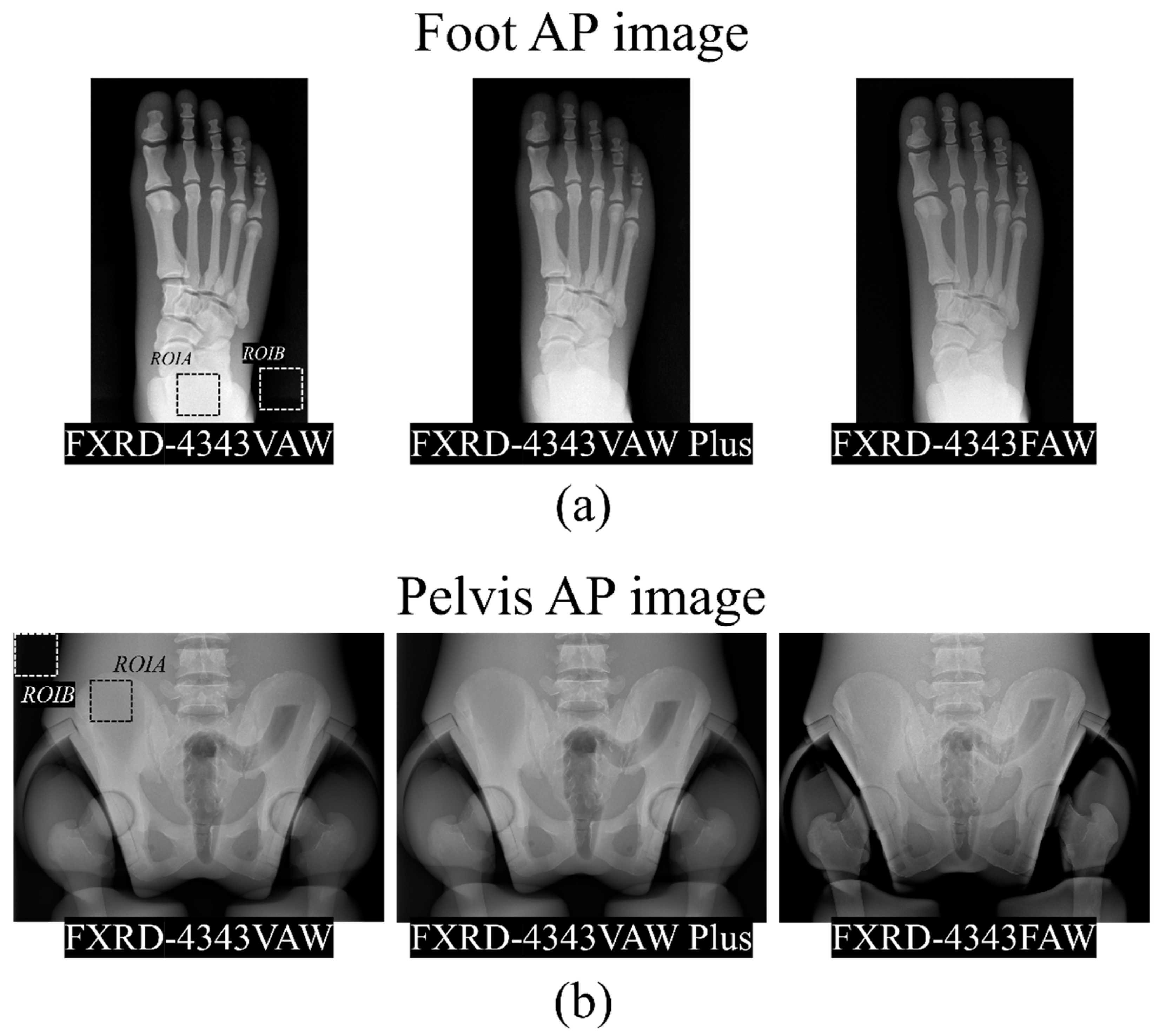 Diagnostics 12 02103 g003