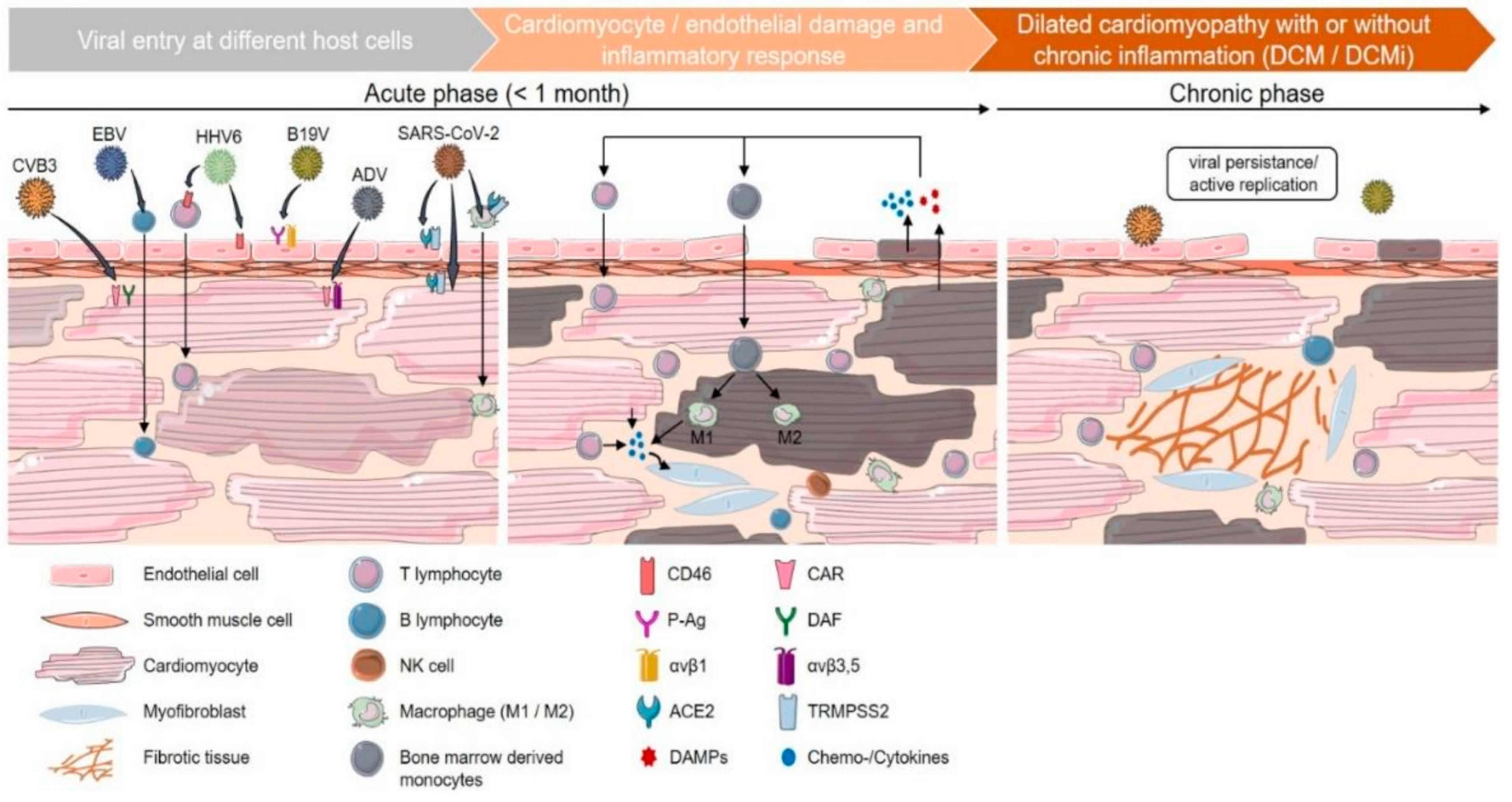 Diagnostics 12 02104 g004