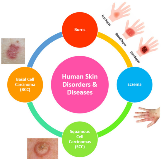 Diagnostics 12 02117 g001 550