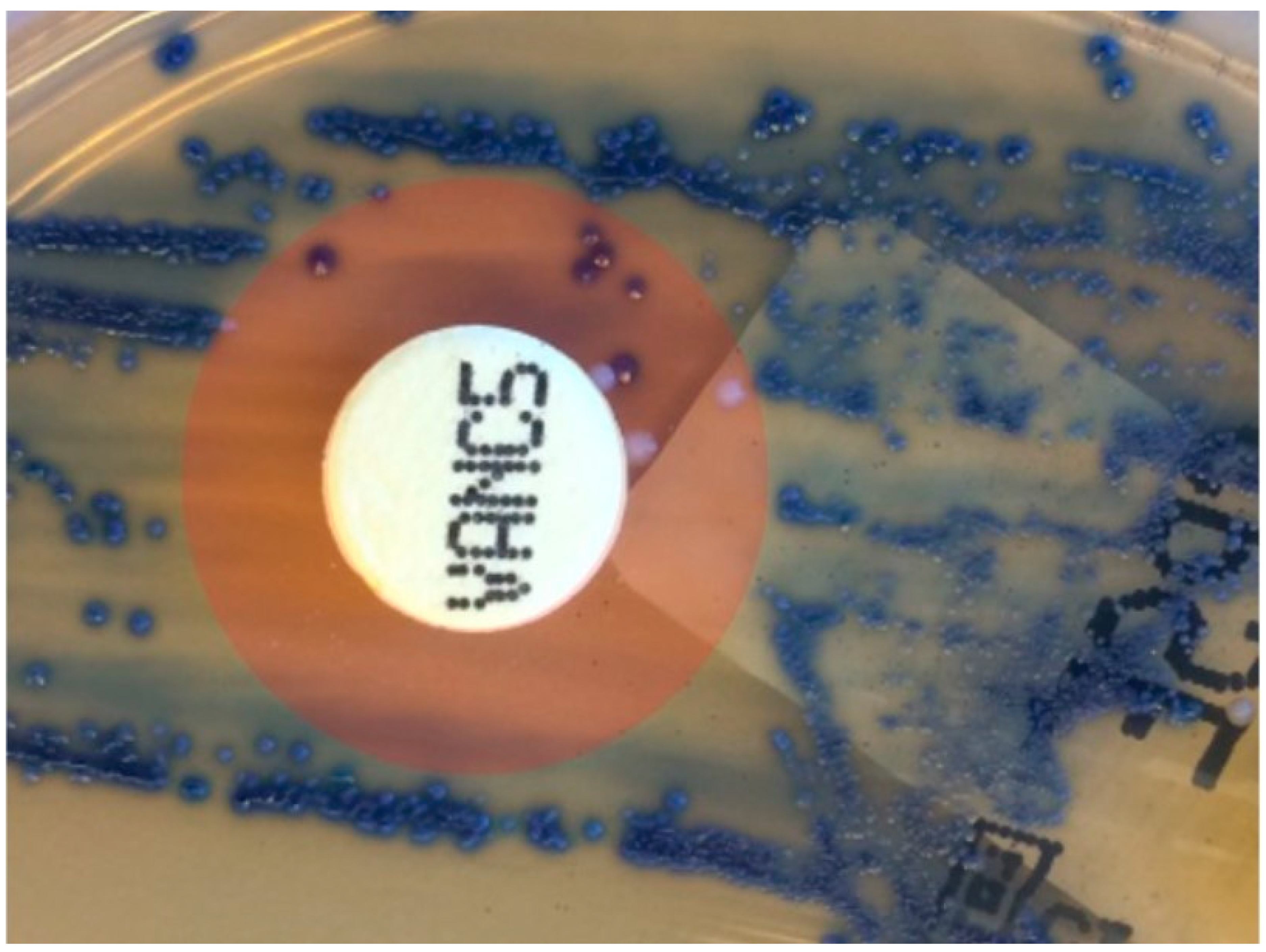Diagnostics 12 02120 g001 Diagnostics 12 02120 g001