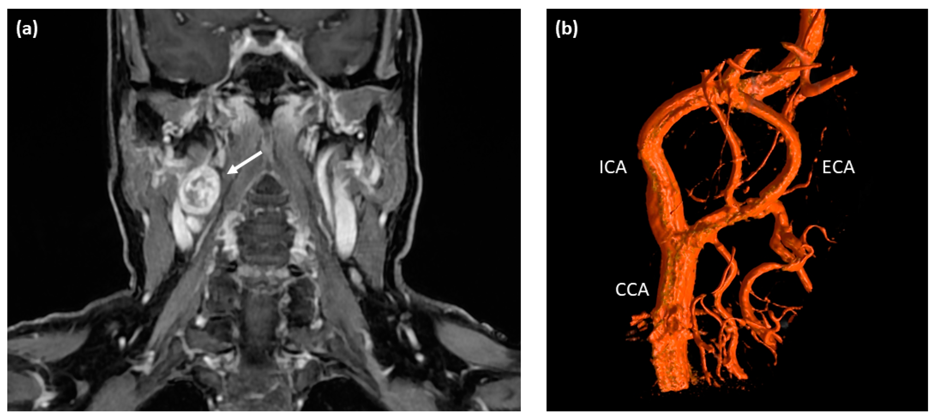 Diagnostics 12 02122 g001